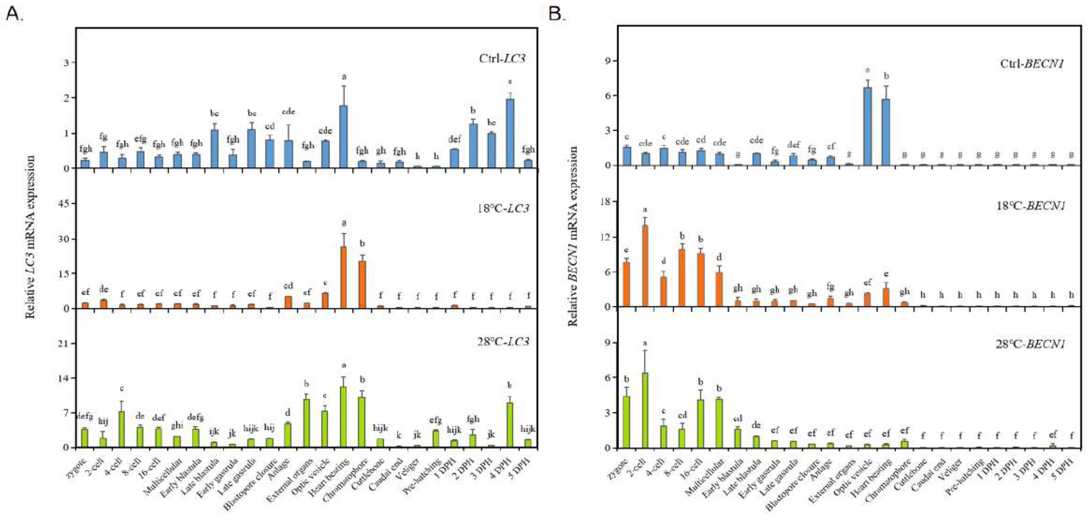 Preprints 86162 g004