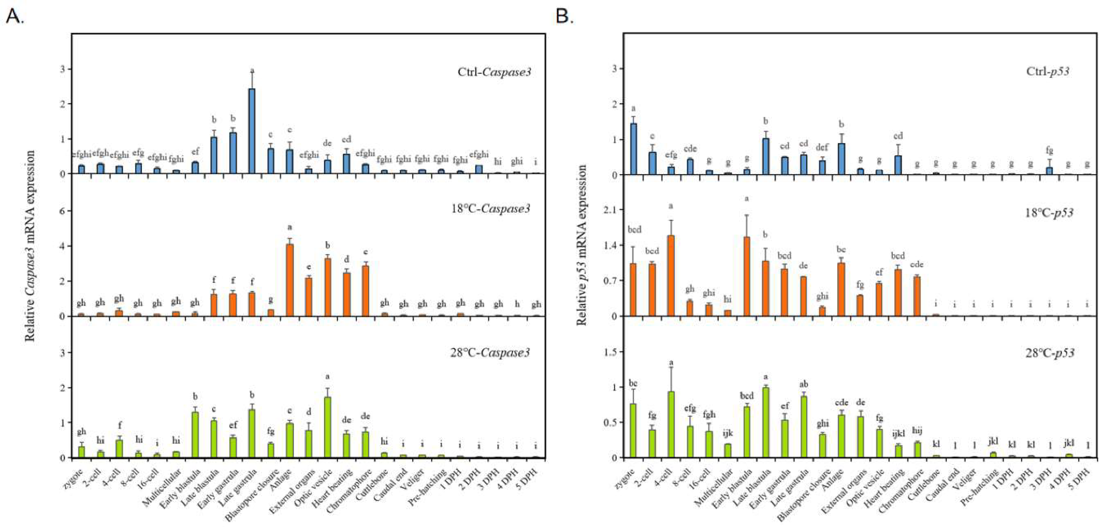 Preprints 86162 g006