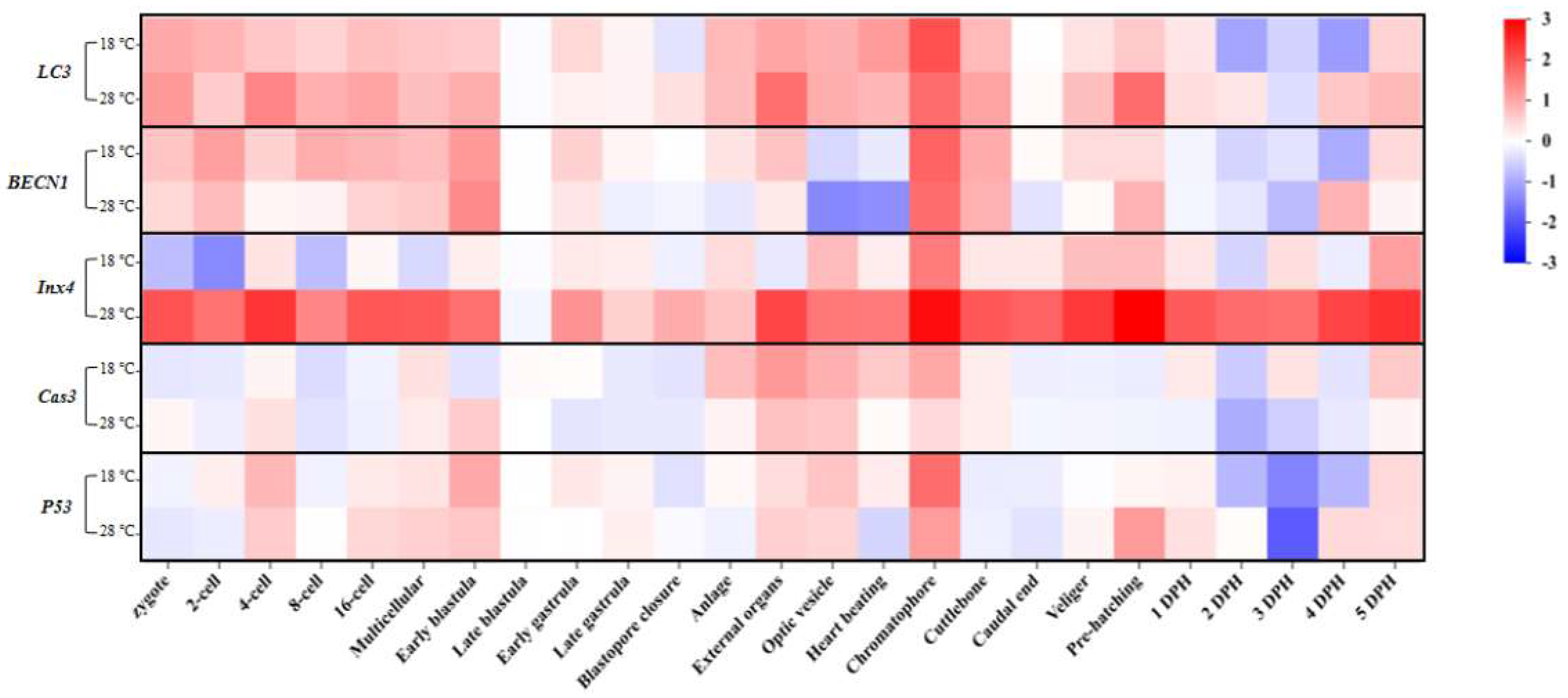 Preprints 86162 g007