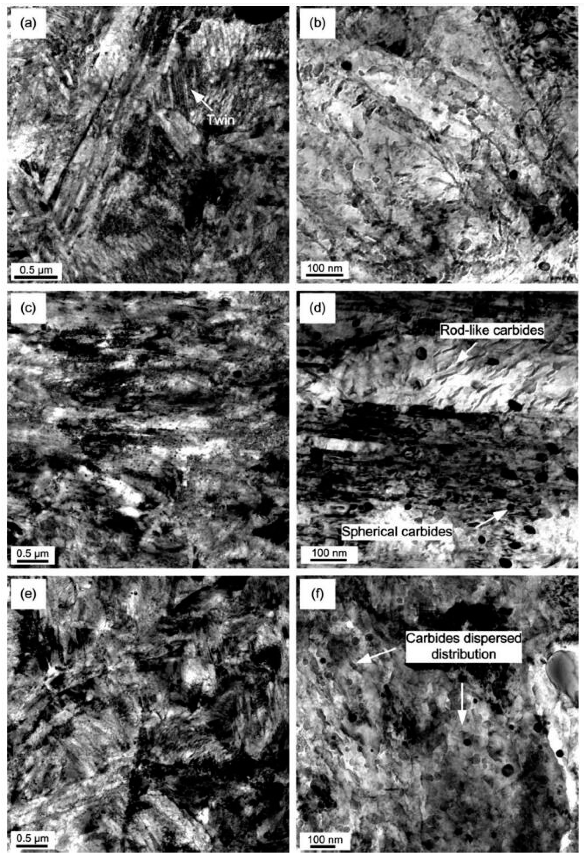 Preprints 93092 g007