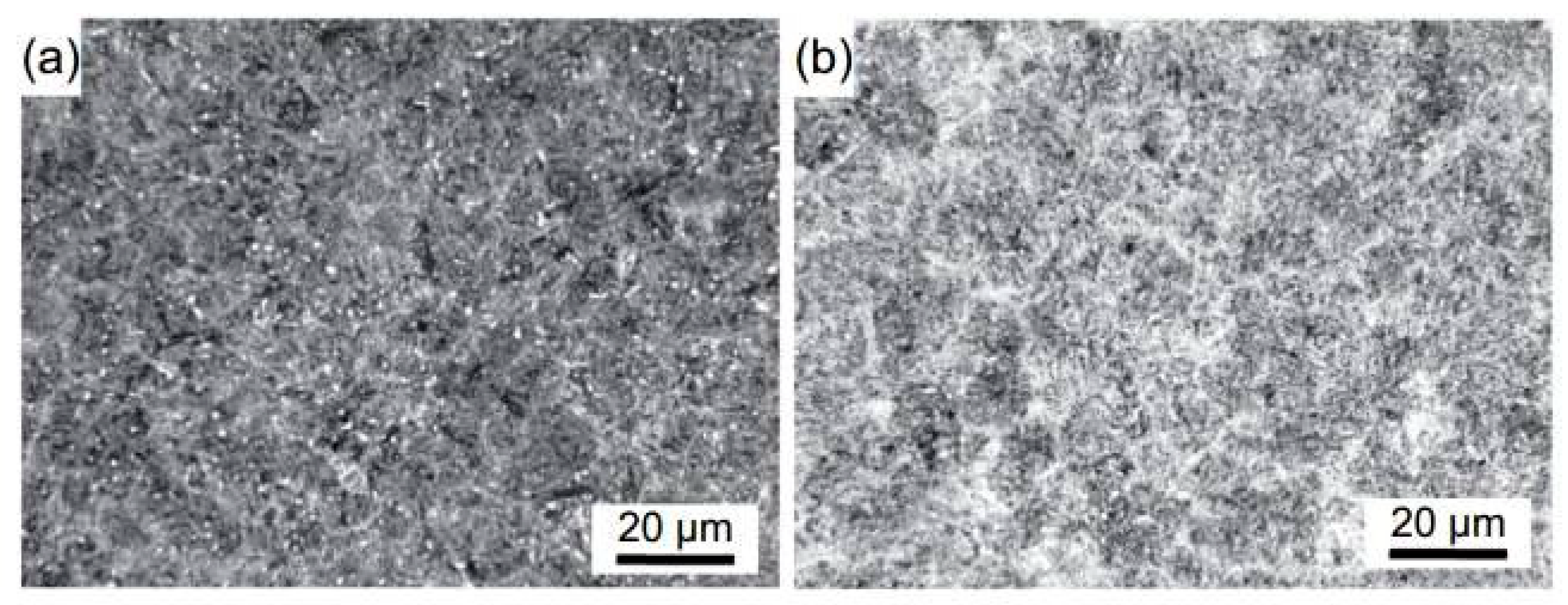 Preprints 93092 g008