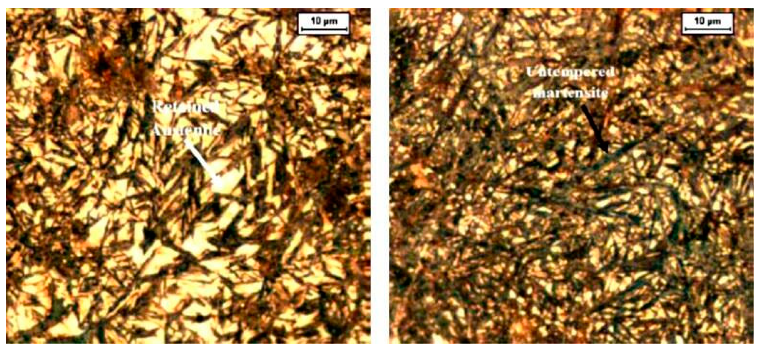 Preprints 93092 g010