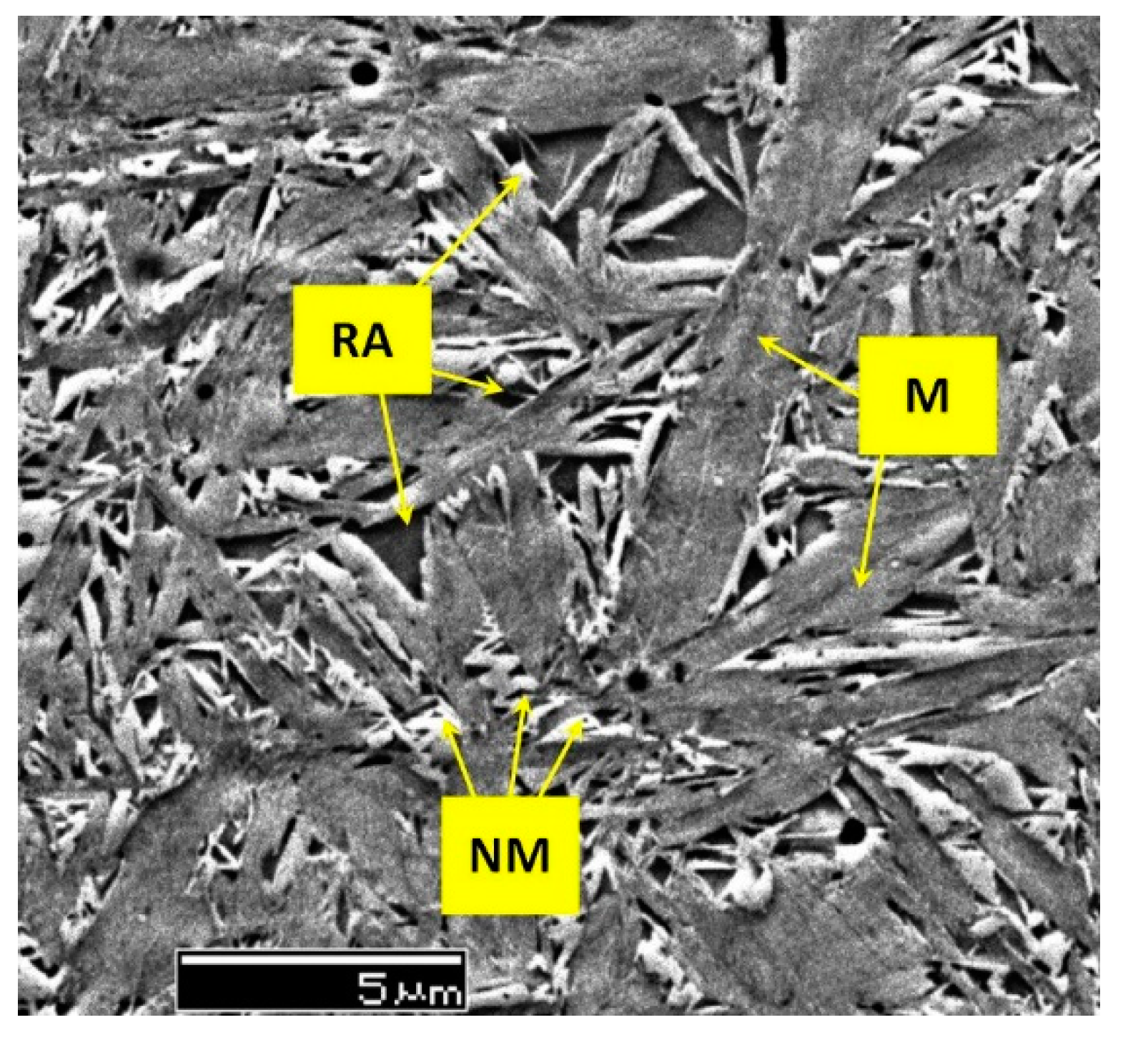 Preprints 93092 g011