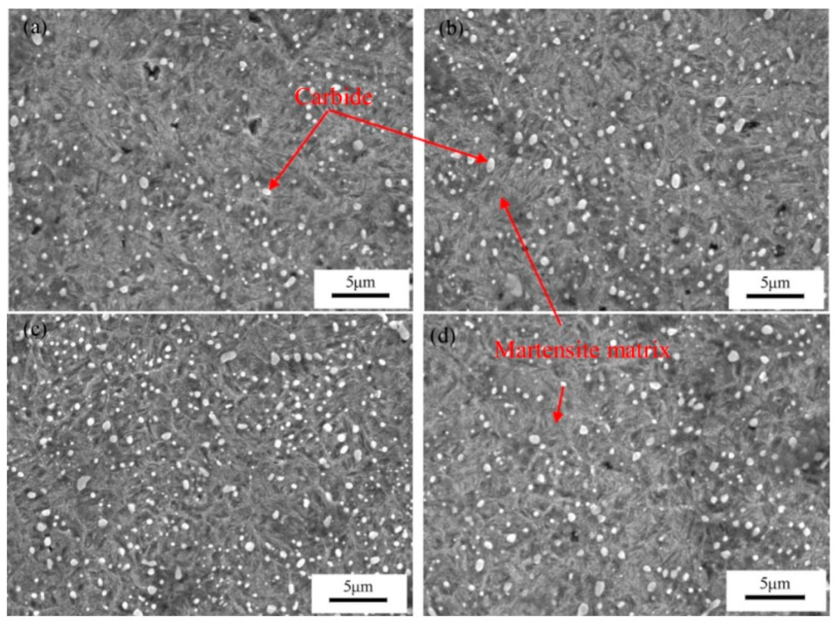 Preprints 93092 g012