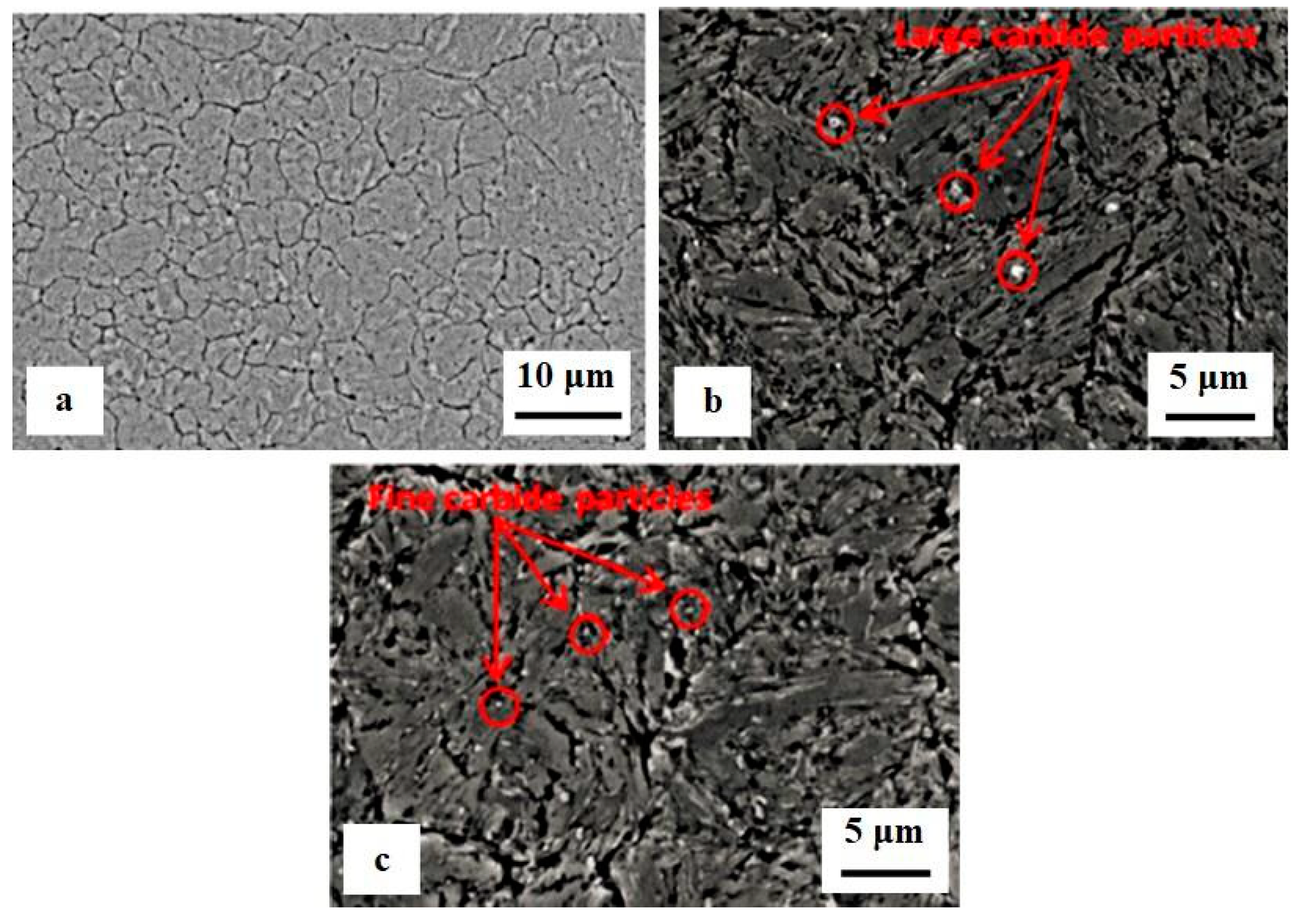 Preprints 93092 g013