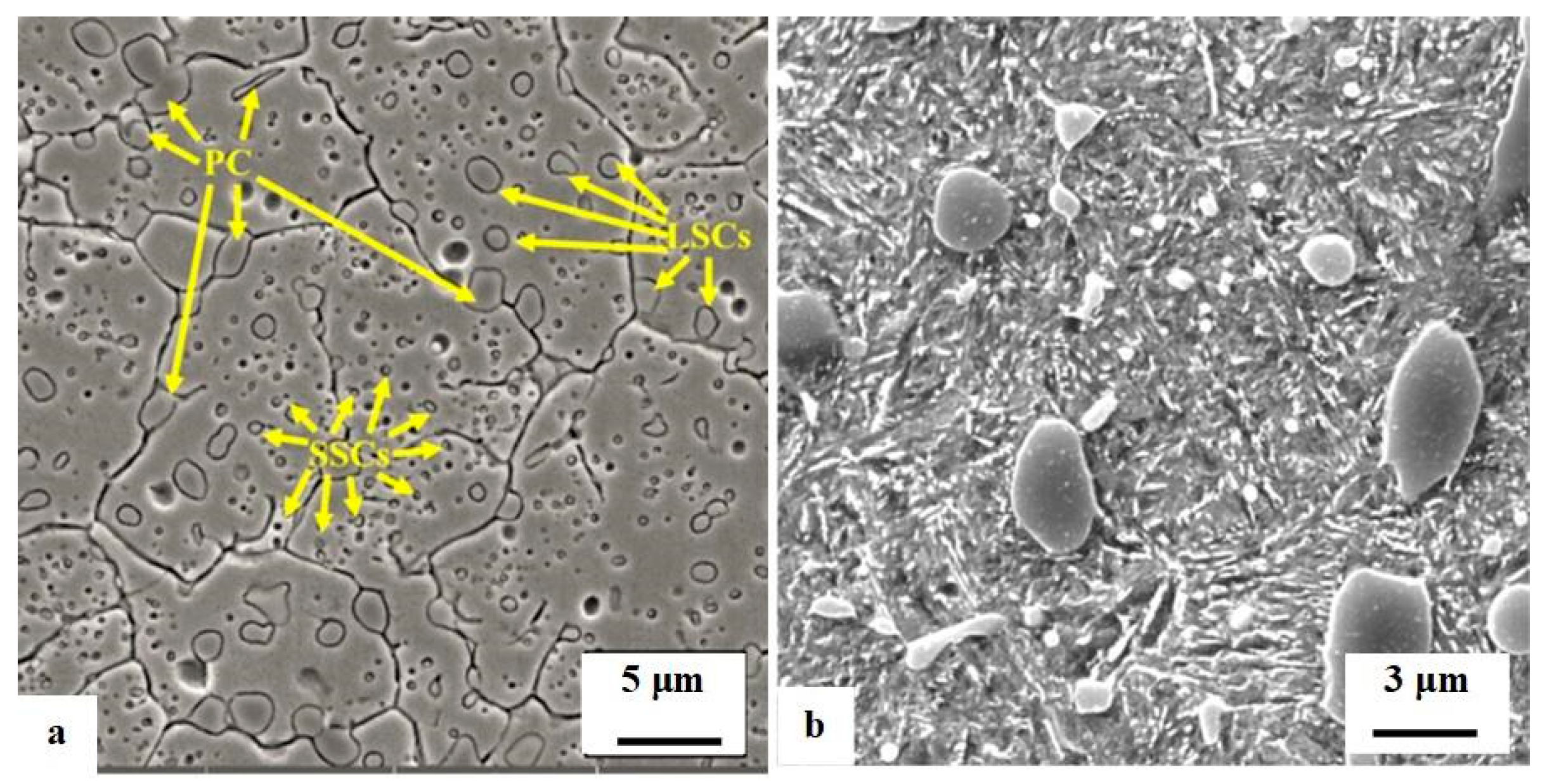 Preprints 93092 g014