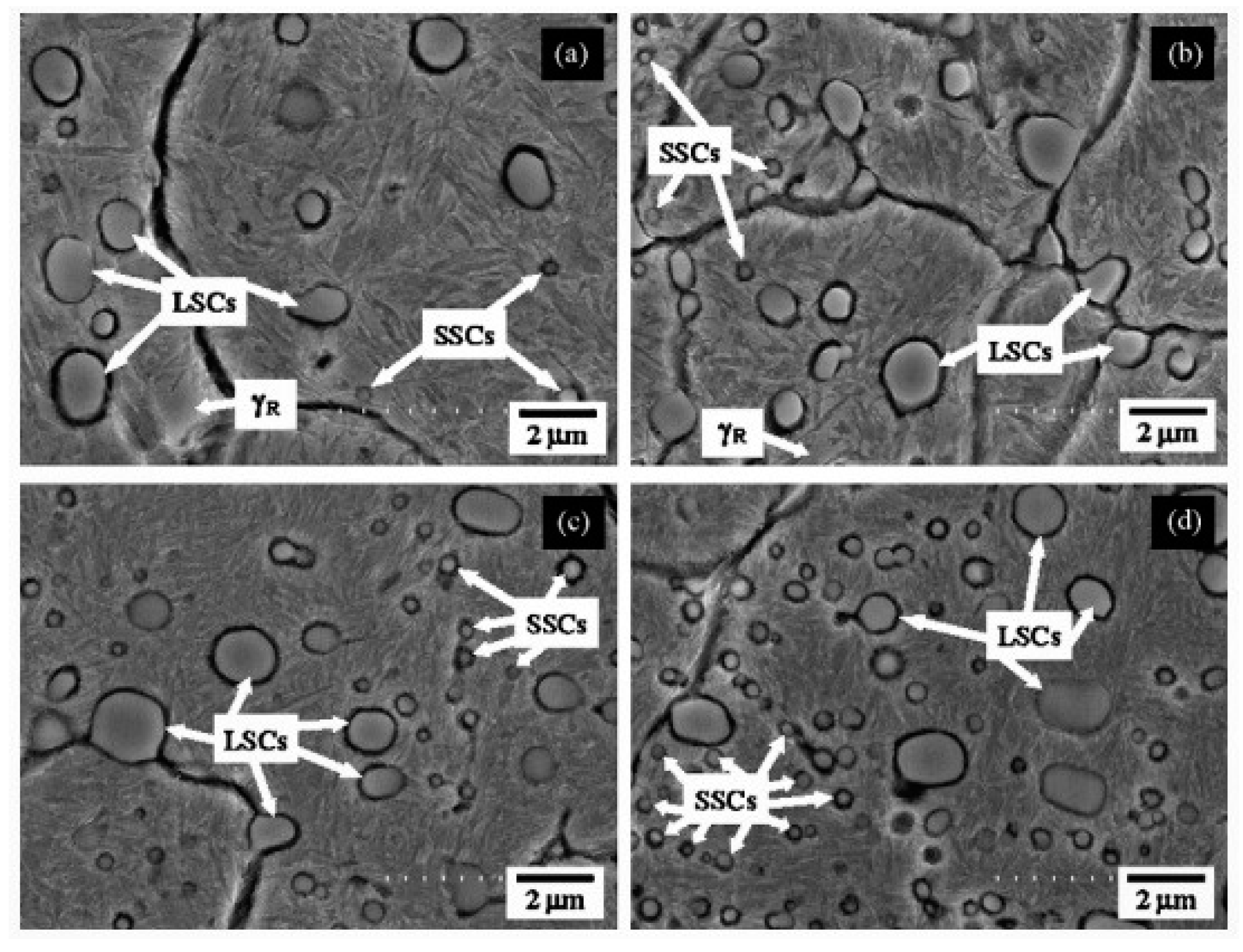 Preprints 93092 g015