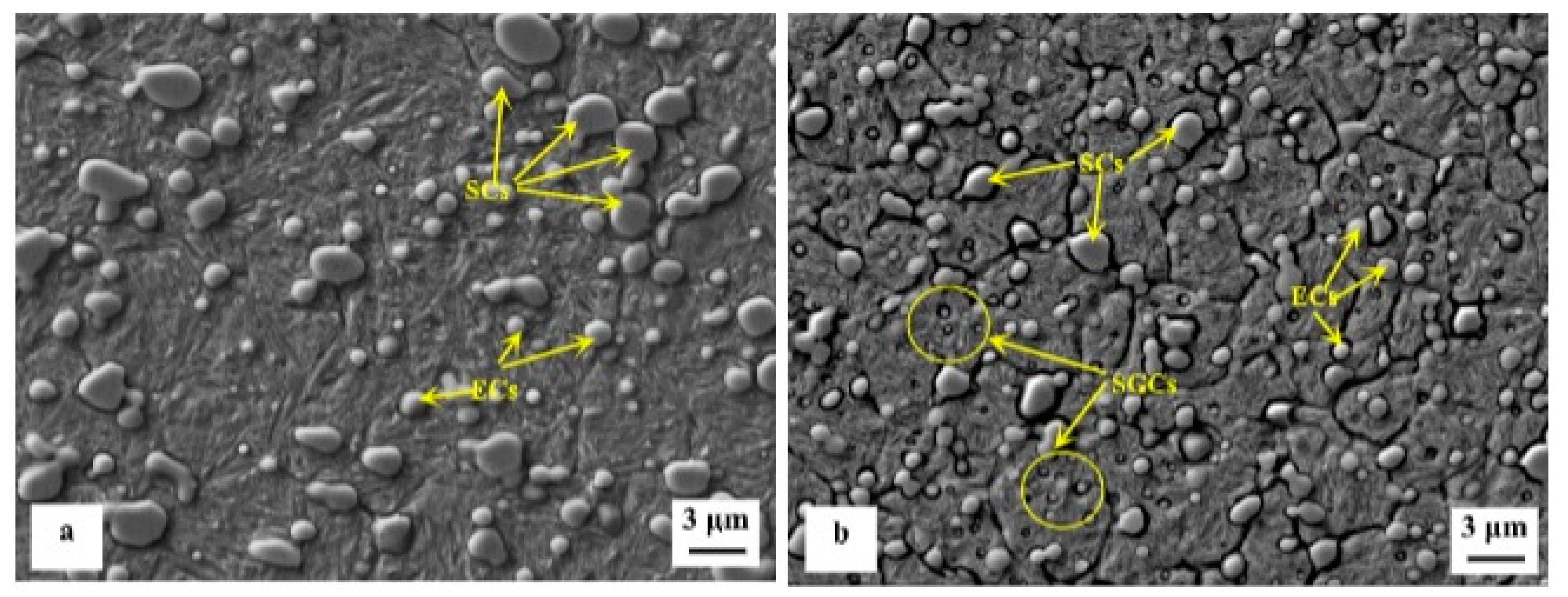 Preprints 93092 g017