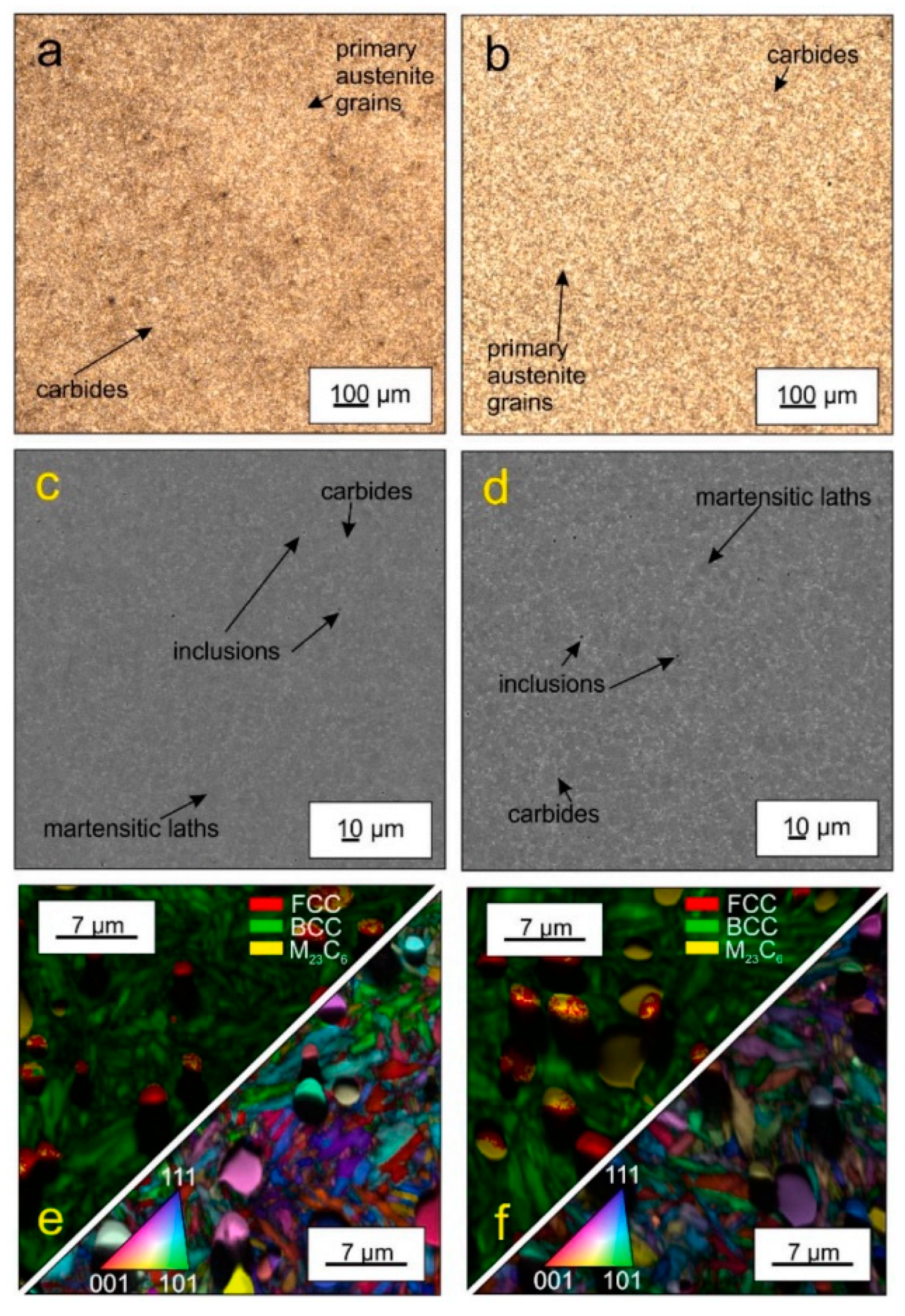 Preprints 93092 g021