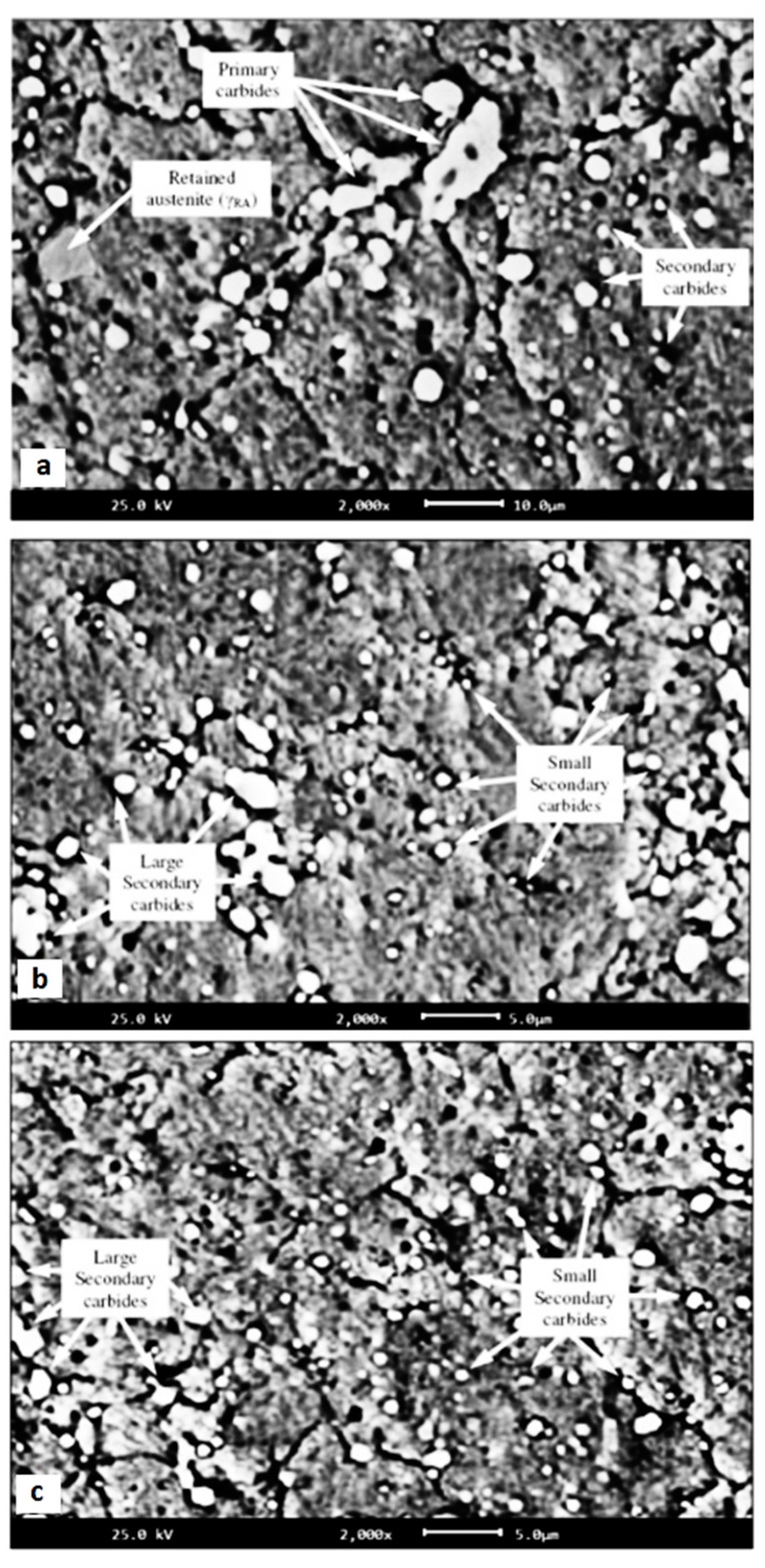 Preprints 93092 g022