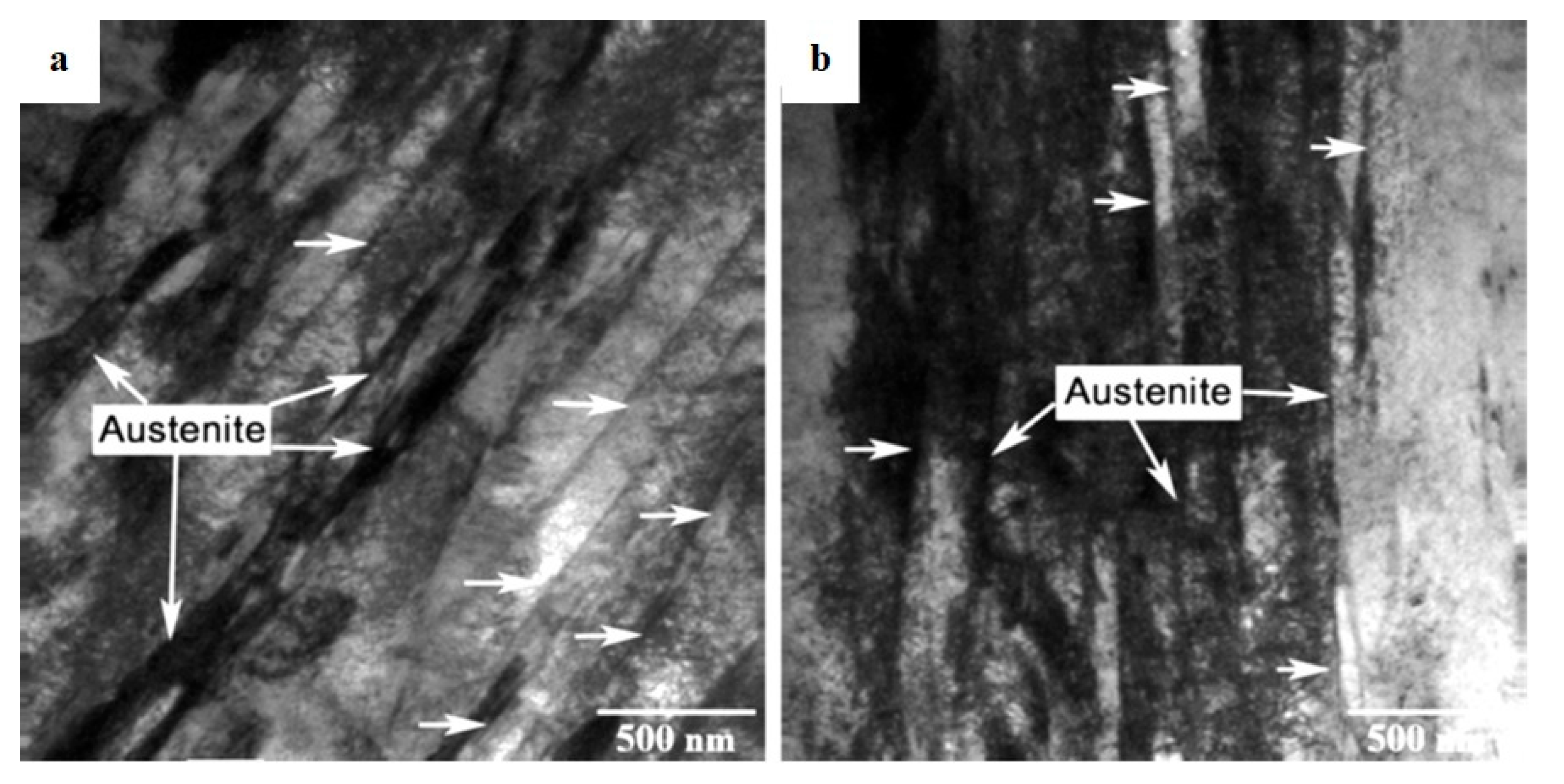 Preprints 93092 g024