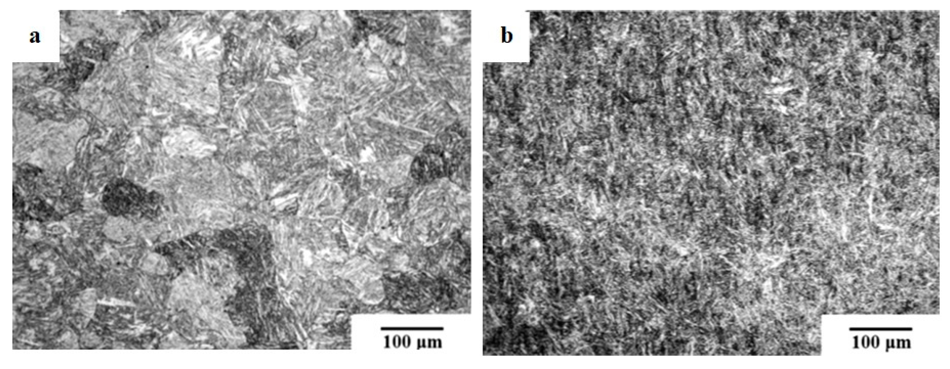 Preprints 93092 g025