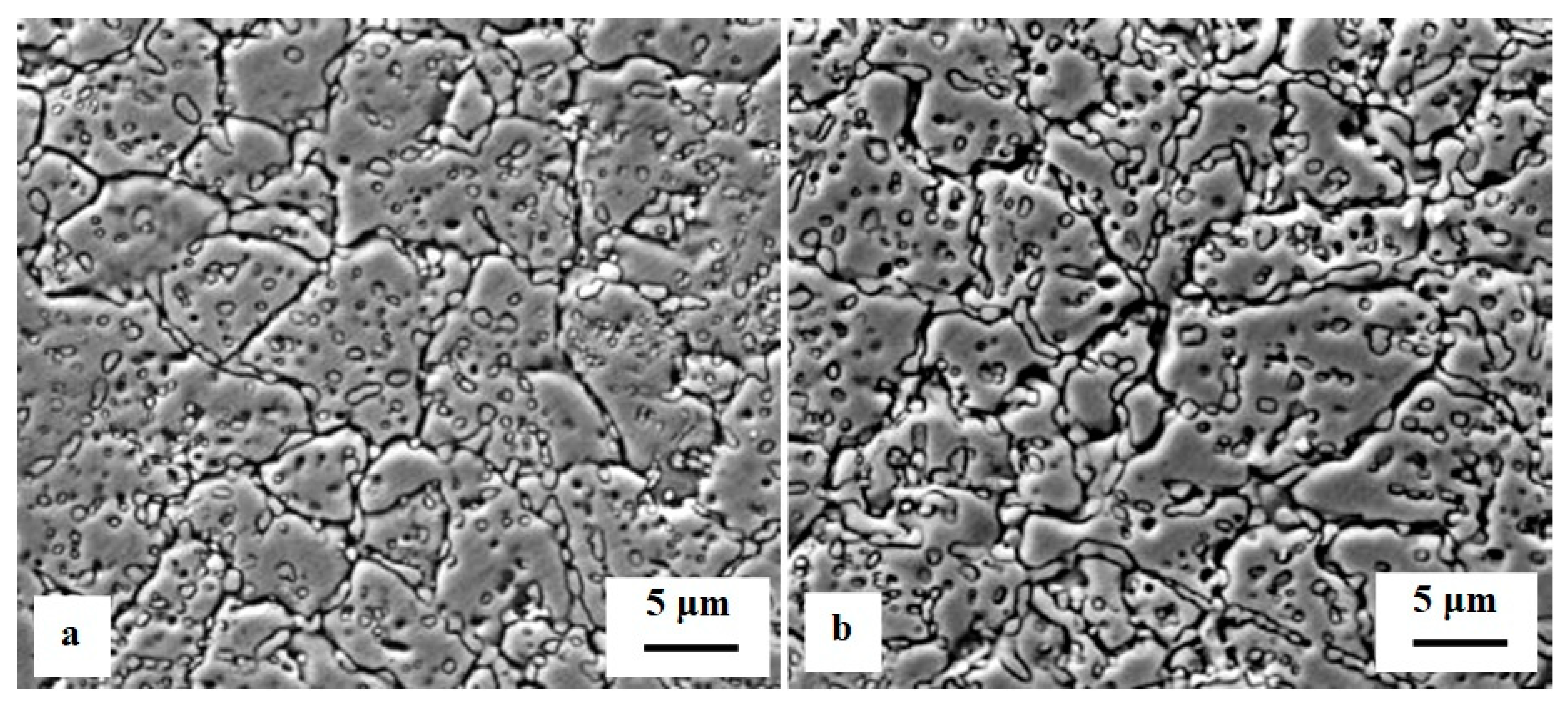 Preprints 93092 g026