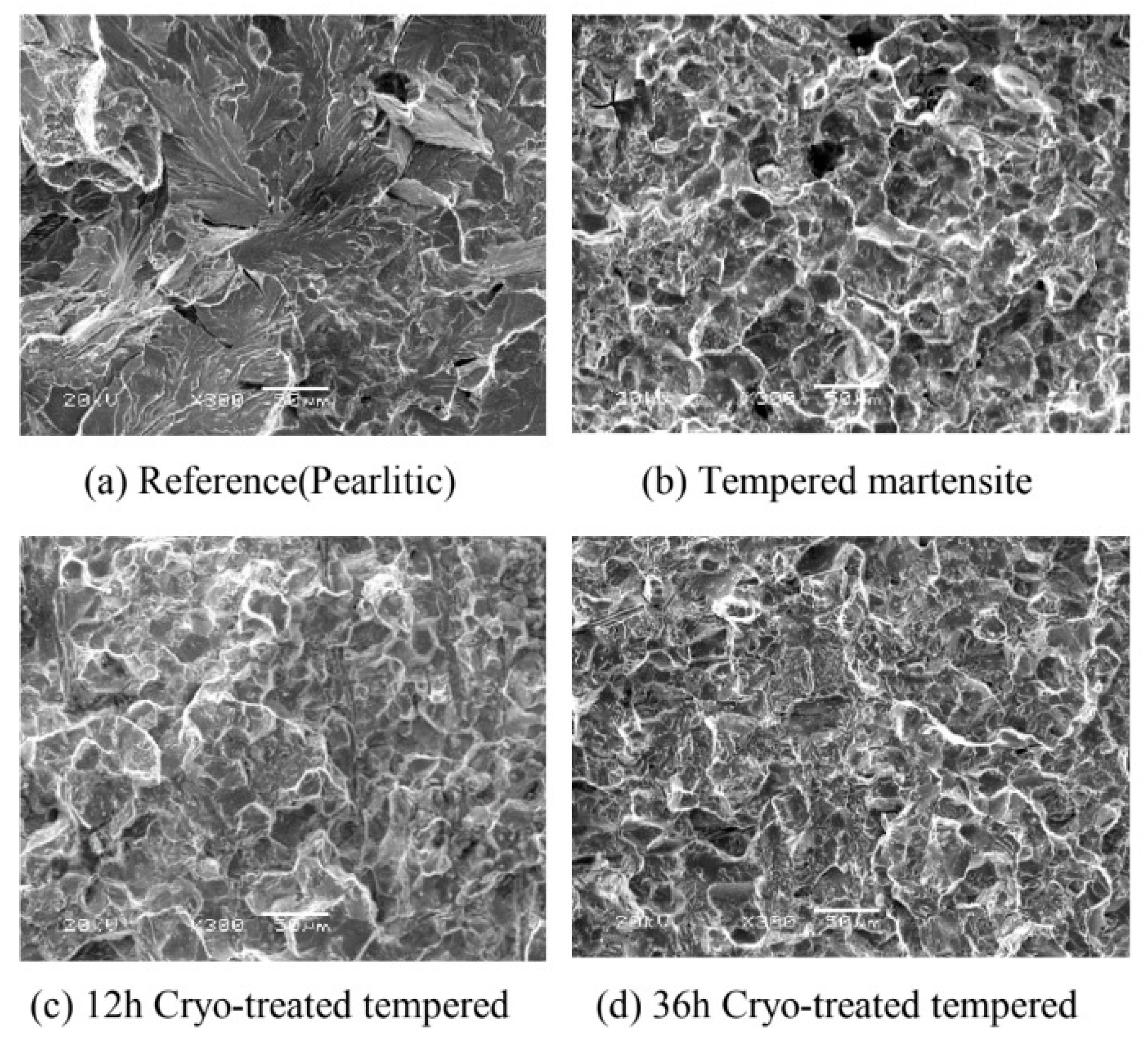 Preprints 93092 g032