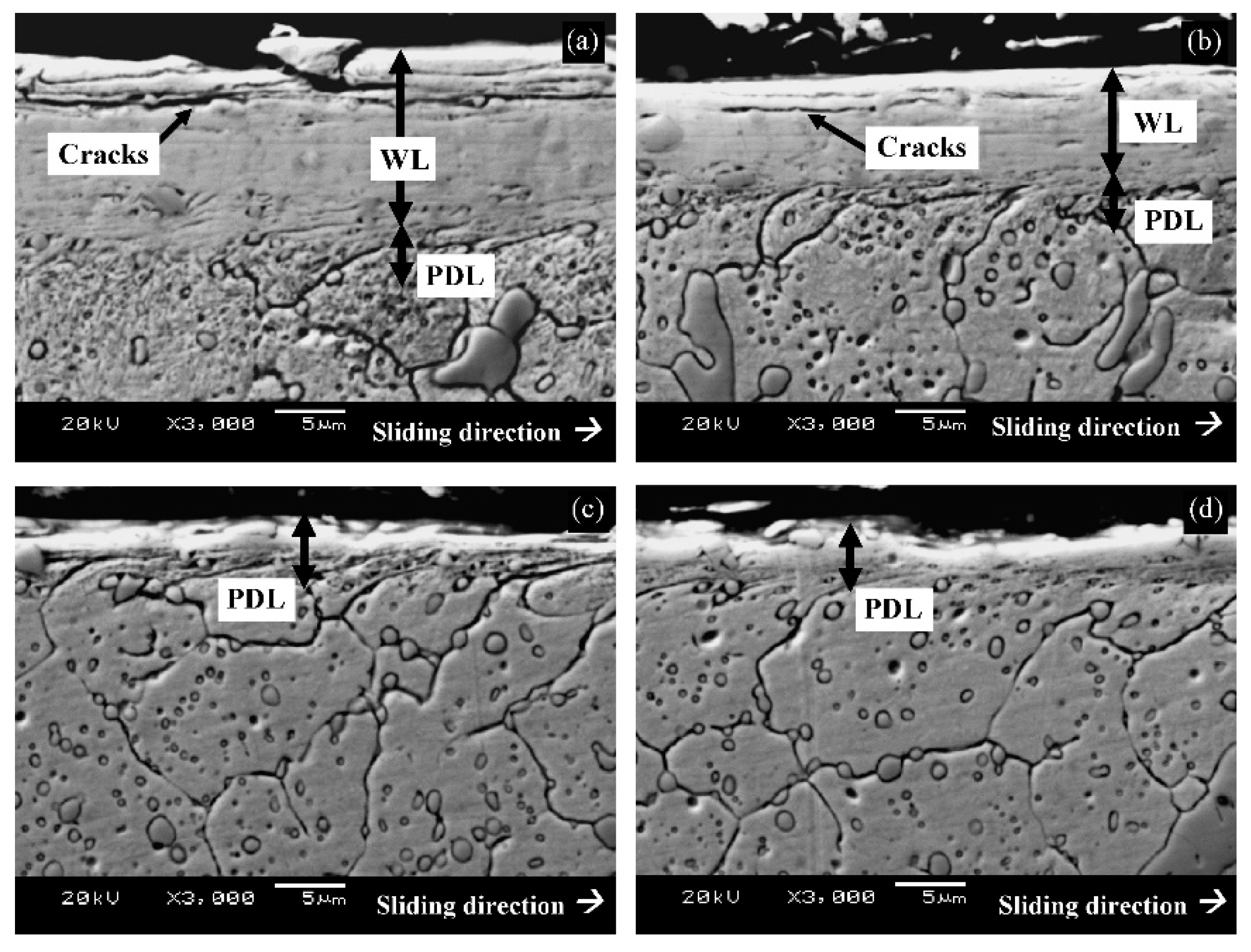 Preprints 93092 g041