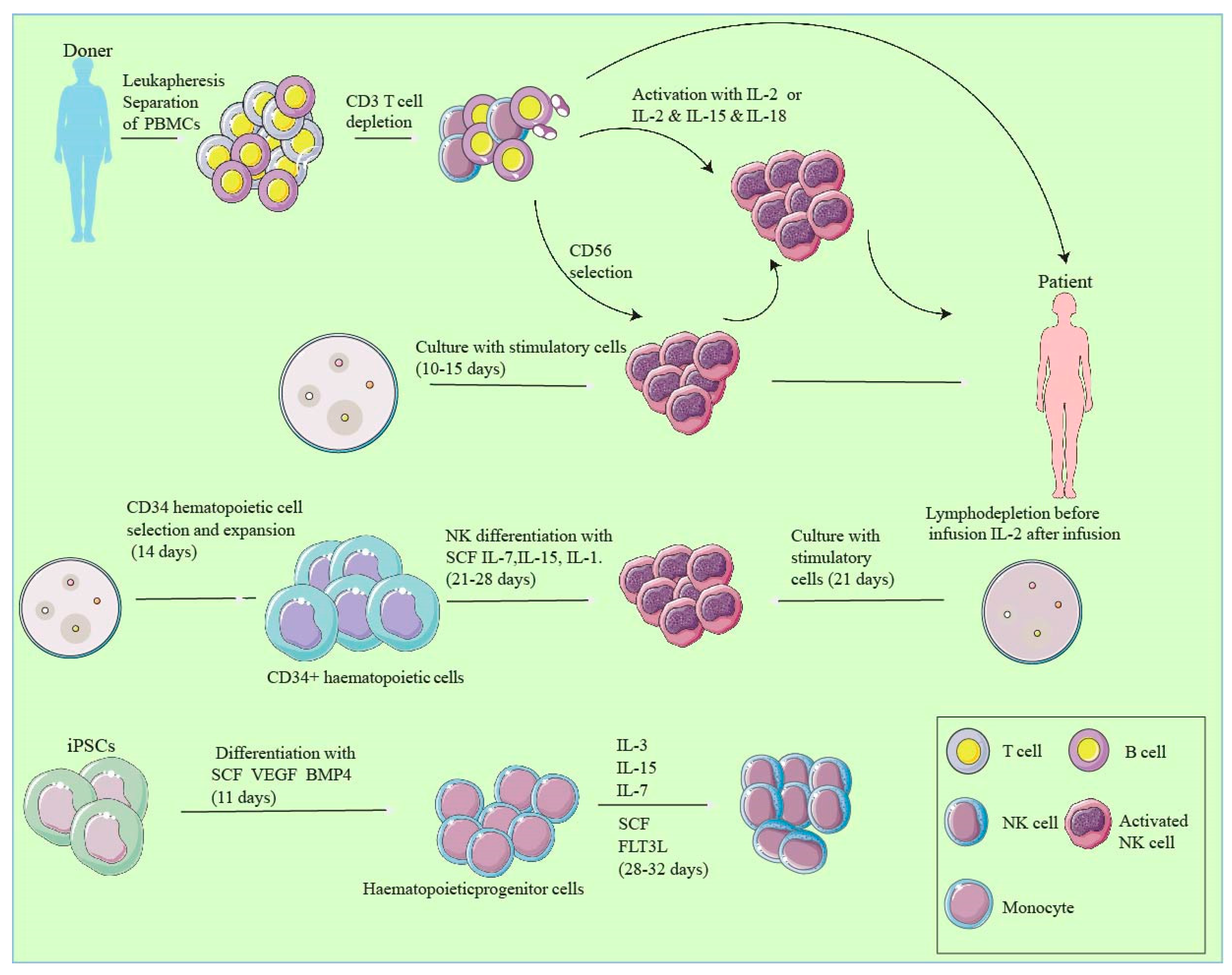 Preprints 109285 g003