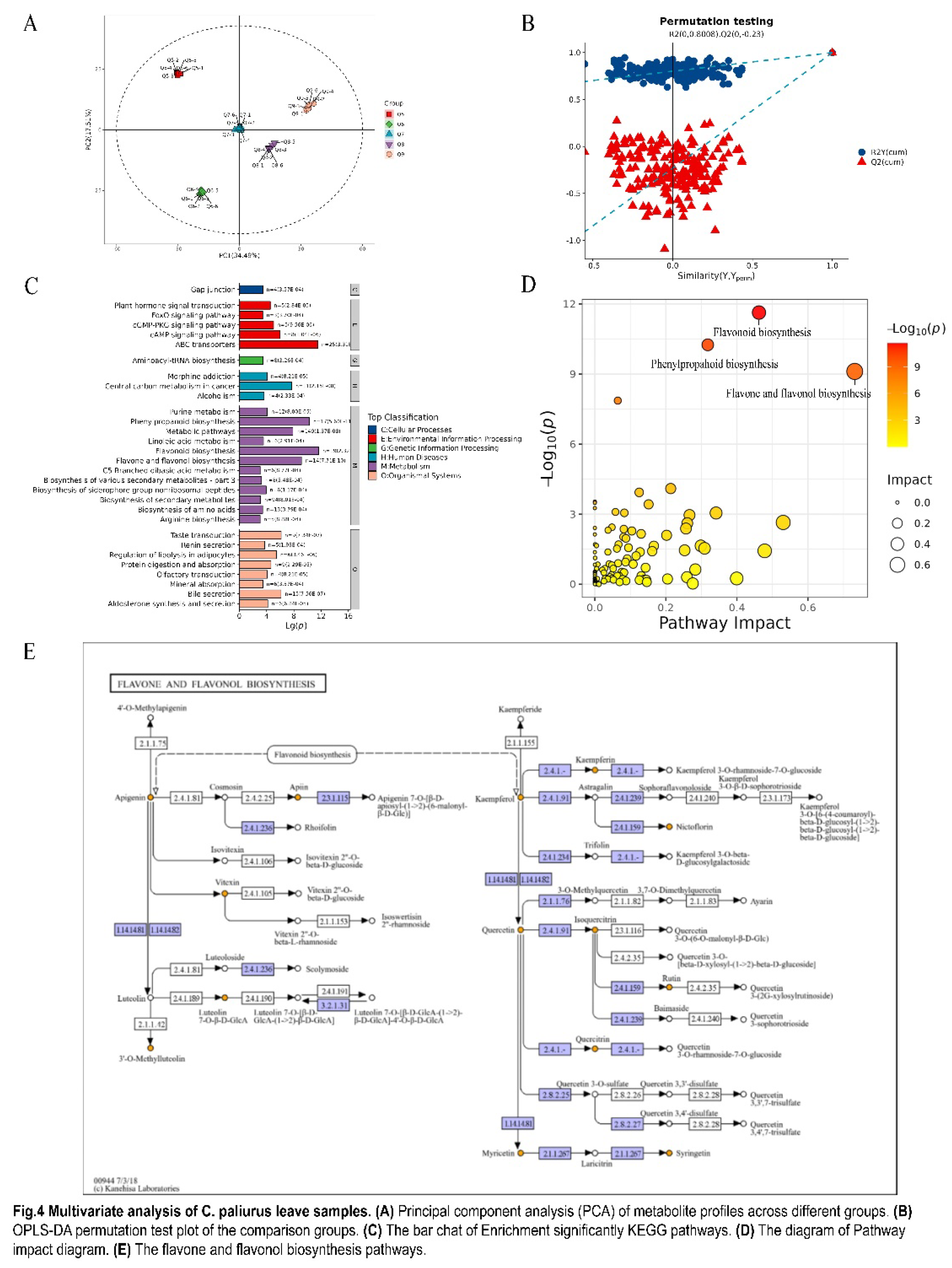 Preprints 114878 g004