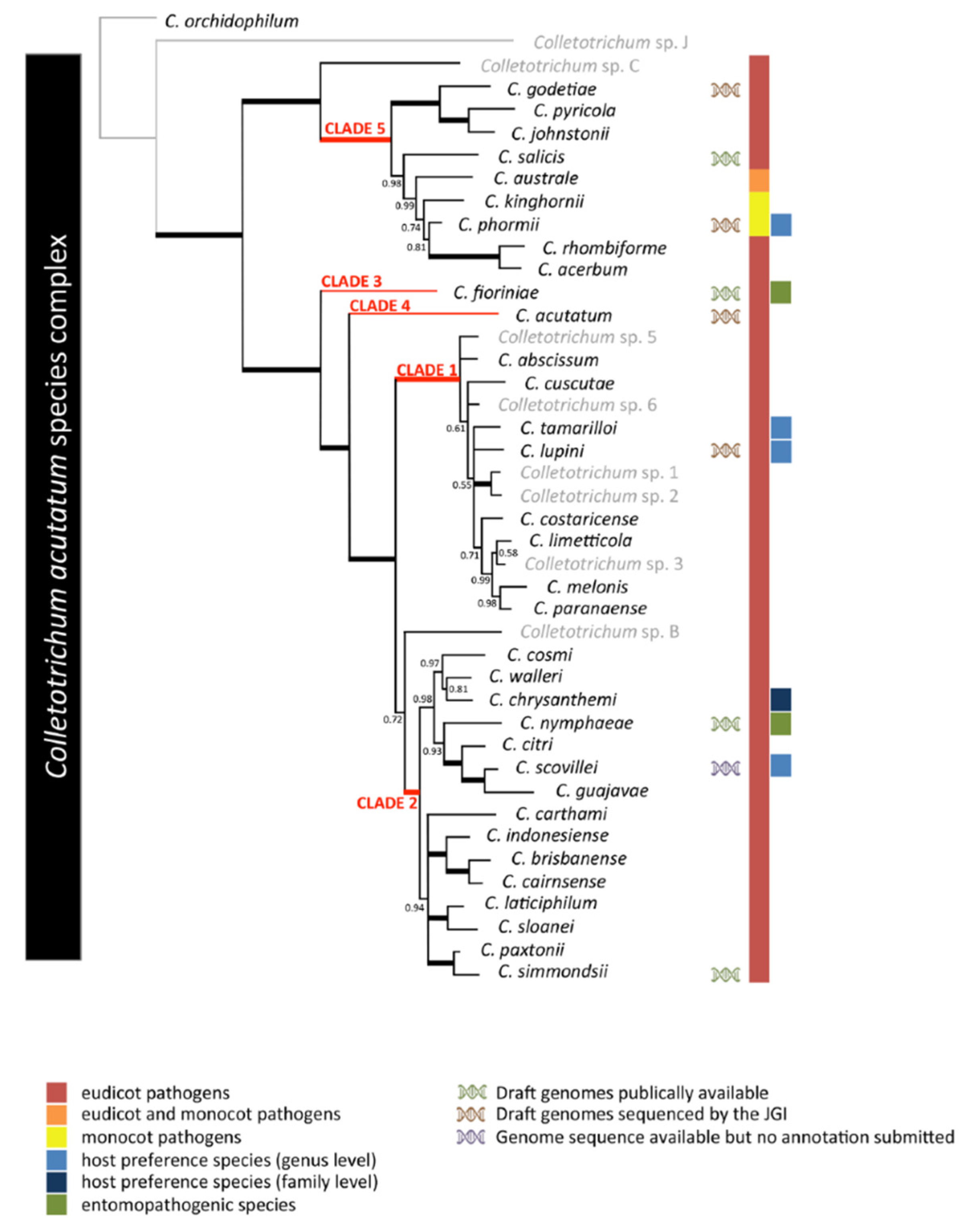 Preprints 81316 g001