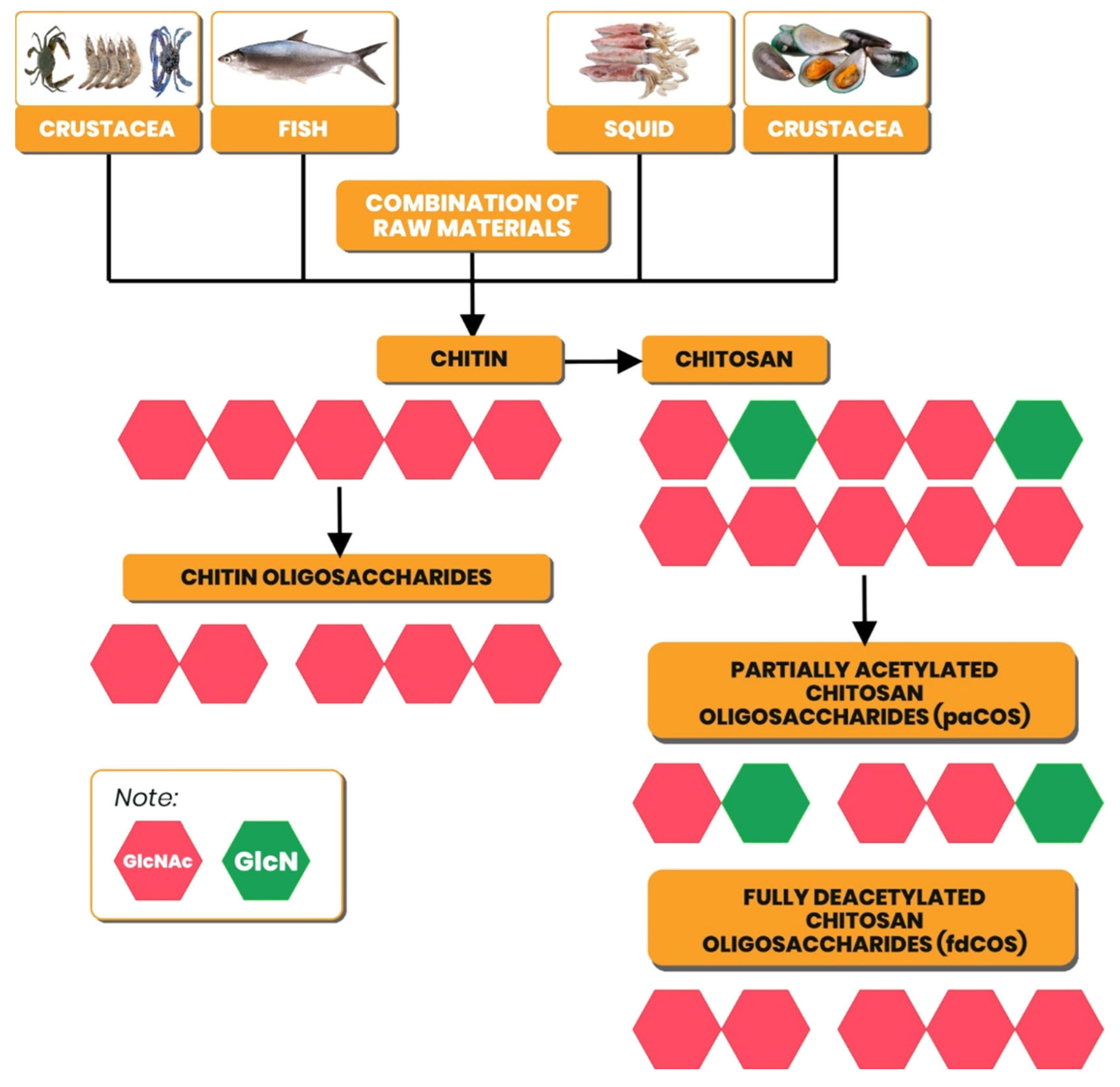 Preprints 82143 g002