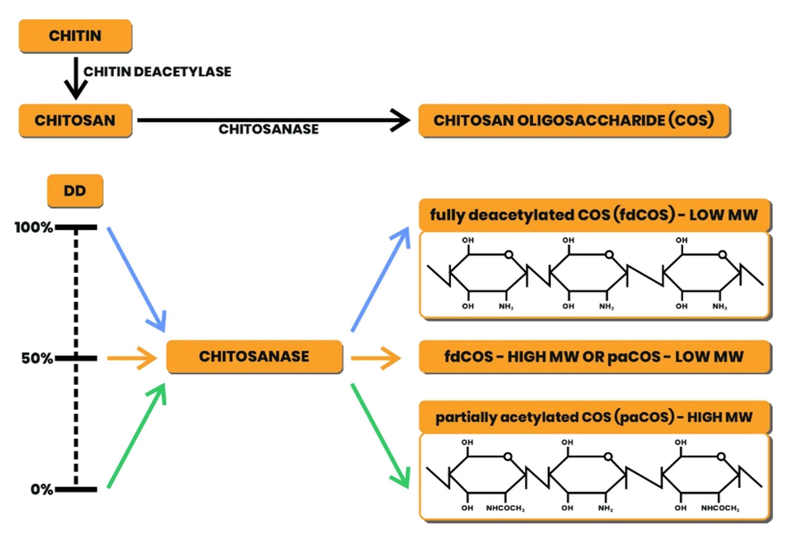 Preprints 82143 g004