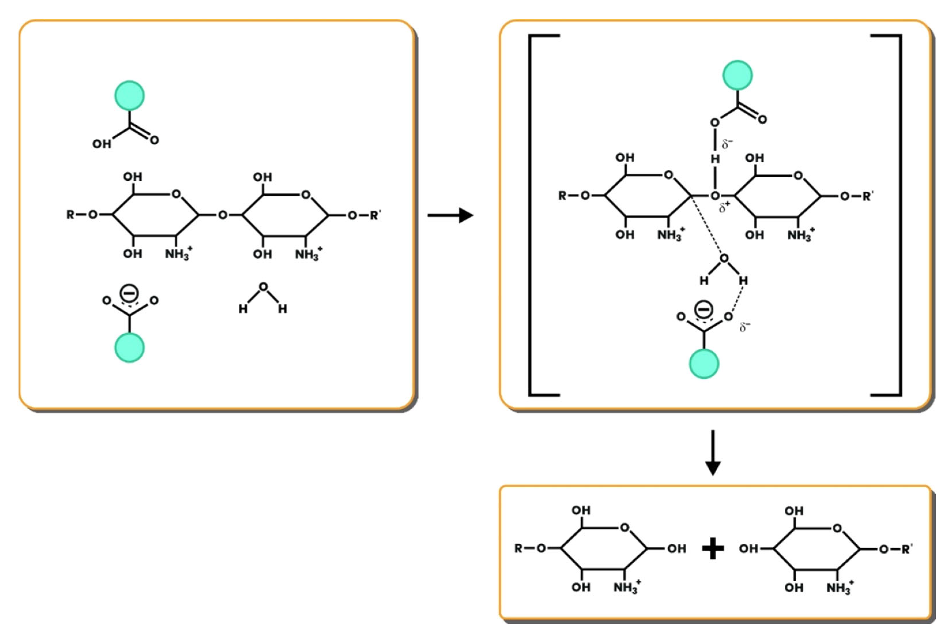 Preprints 82143 g005