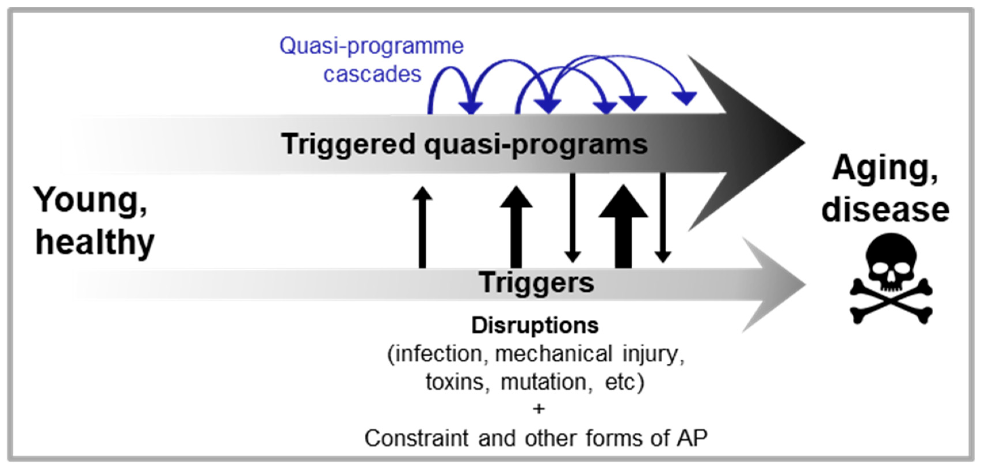 Preprints 91129 g003