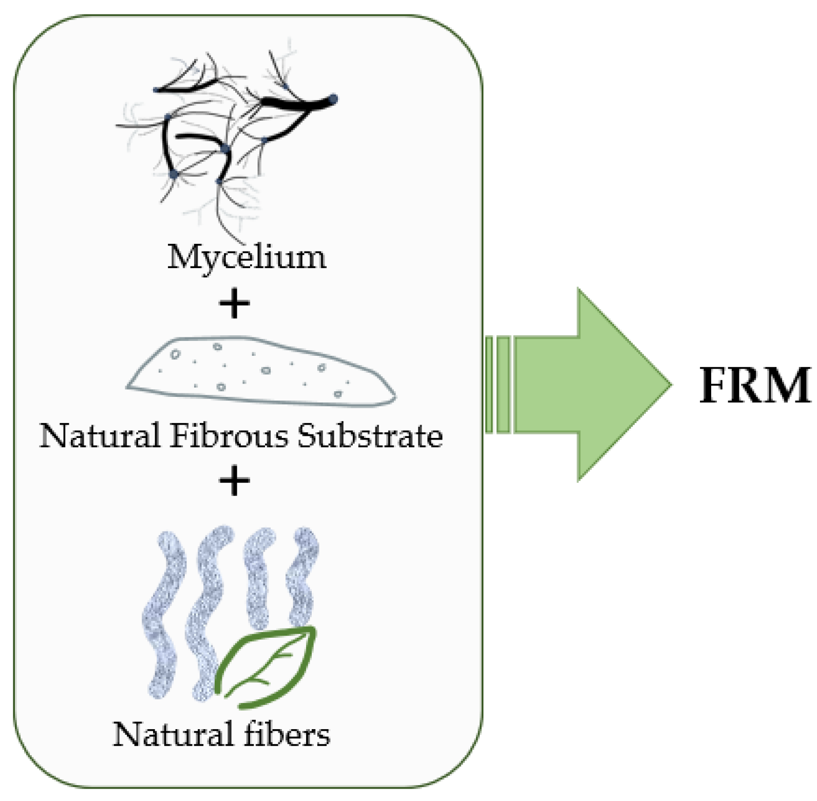 Preprints 109134 g001