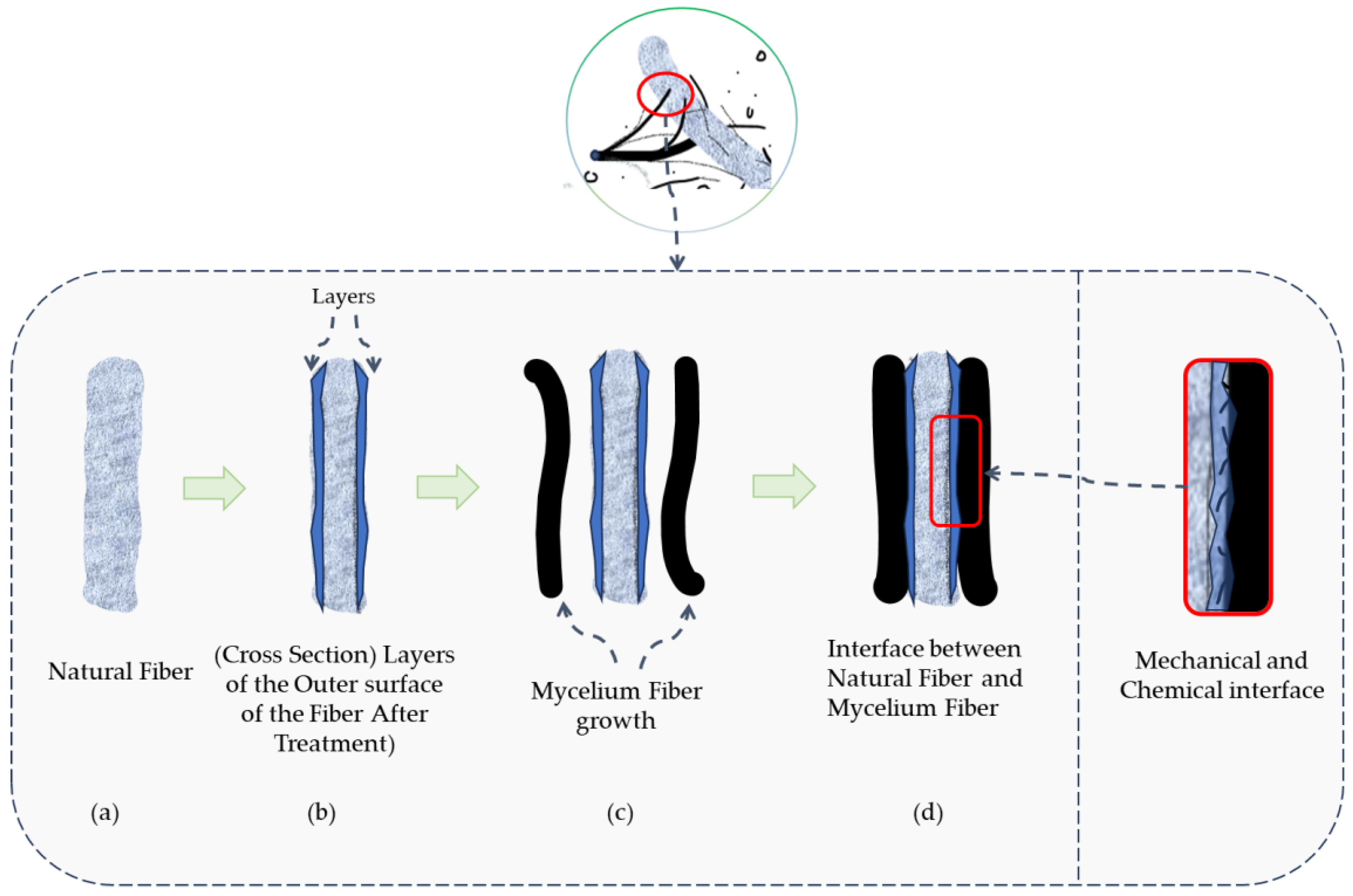 Preprints 109134 g003