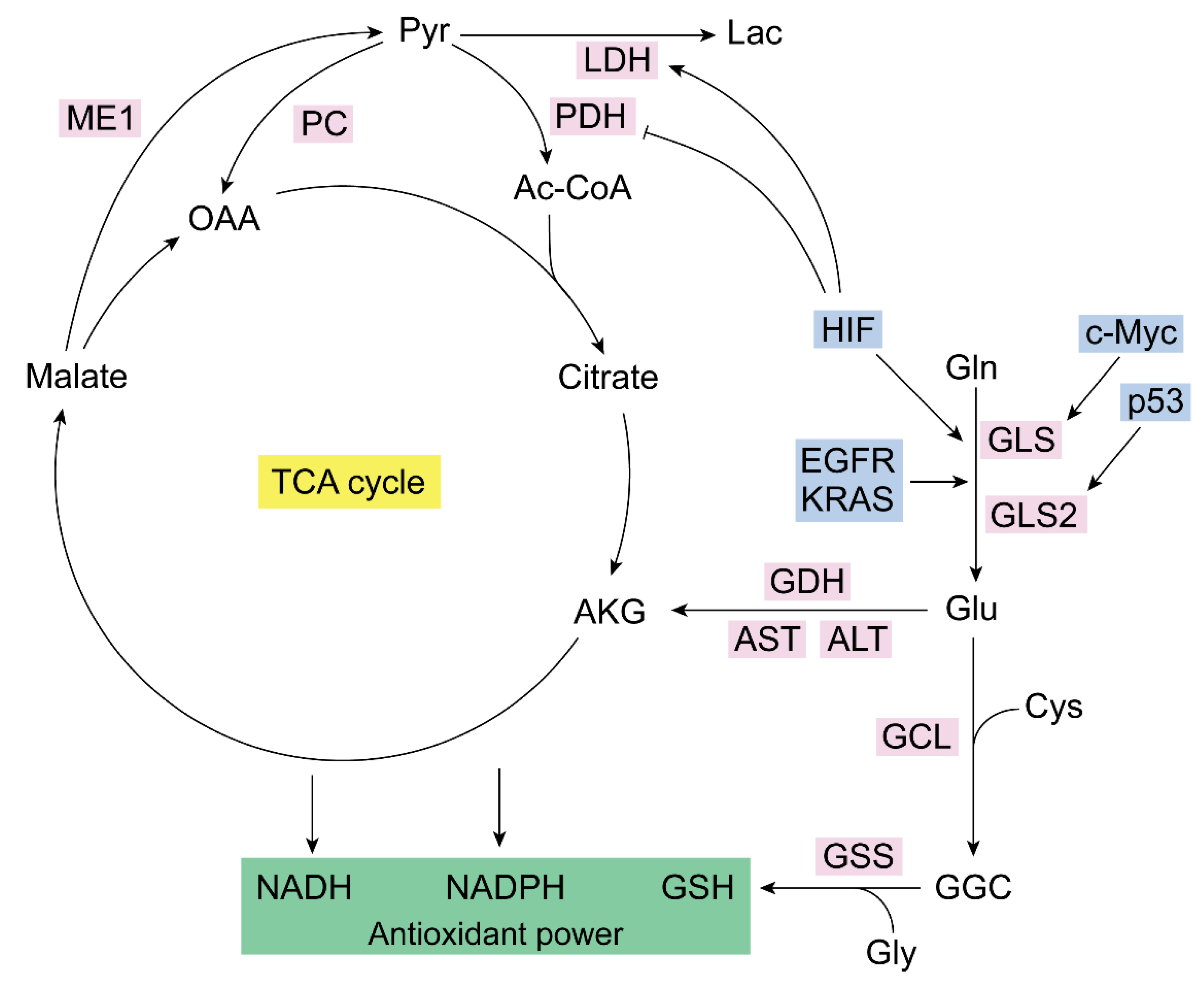 Preprints 107583 g001