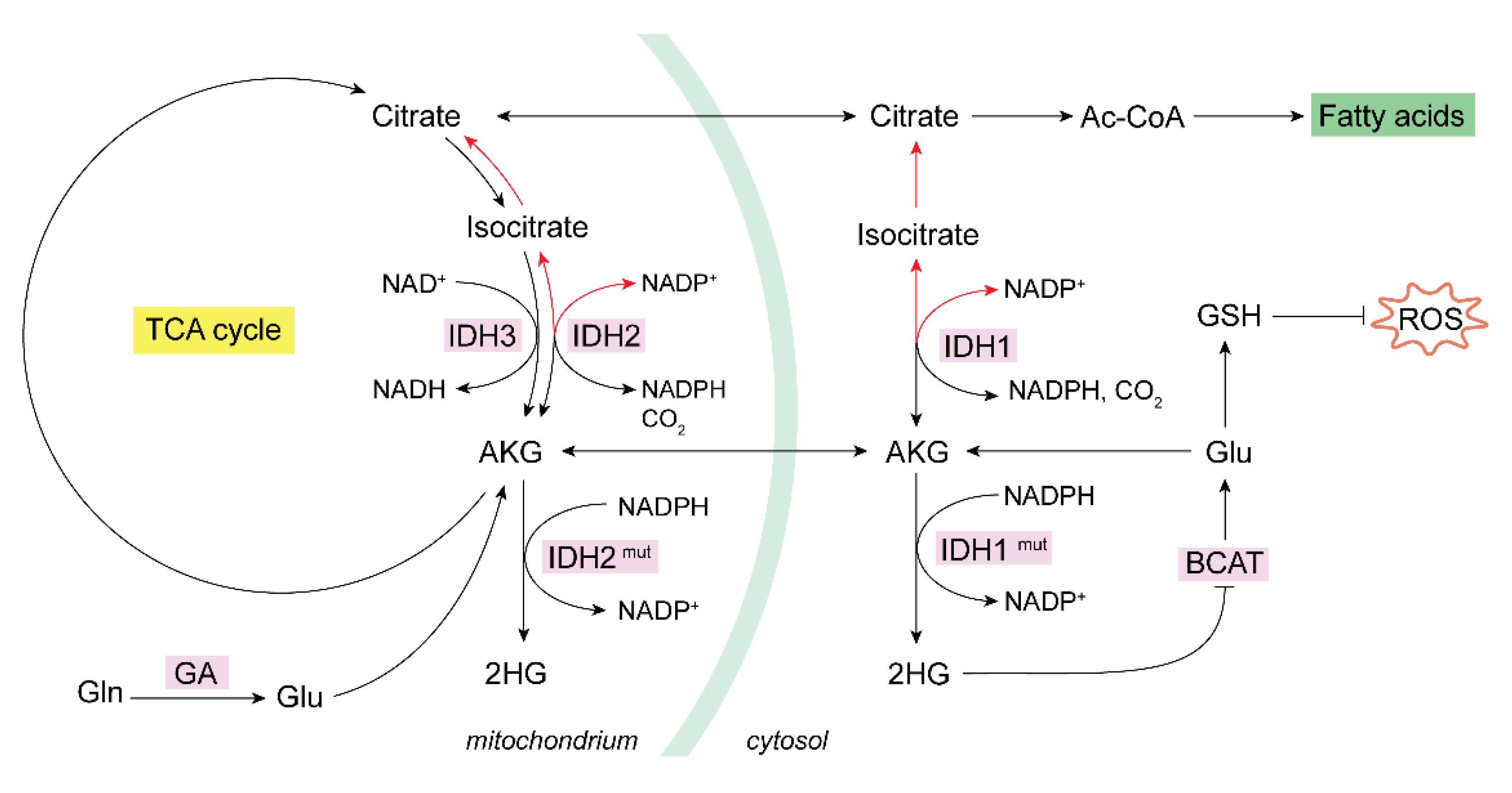 Preprints 107583 g002