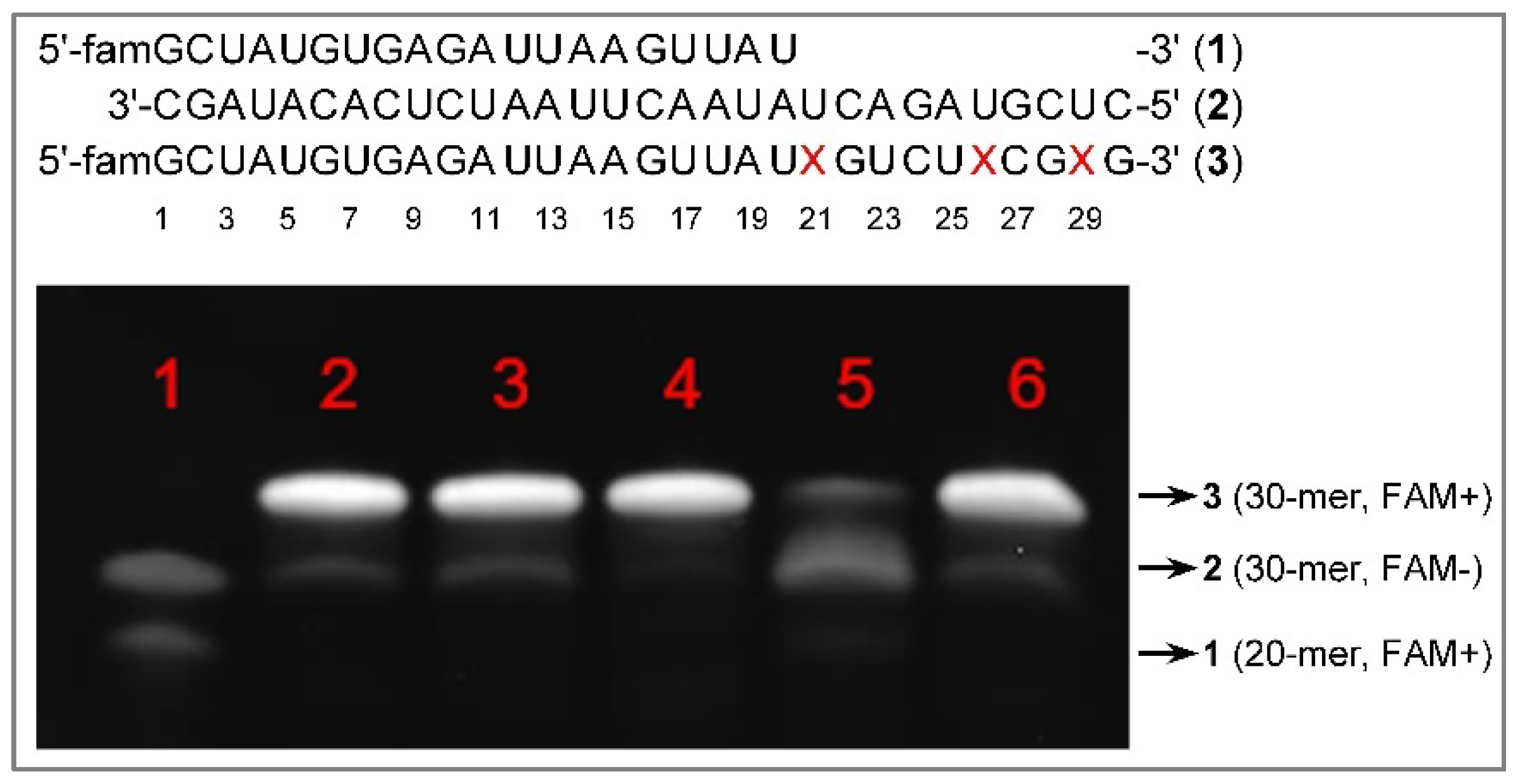 Preprints 90862 g001