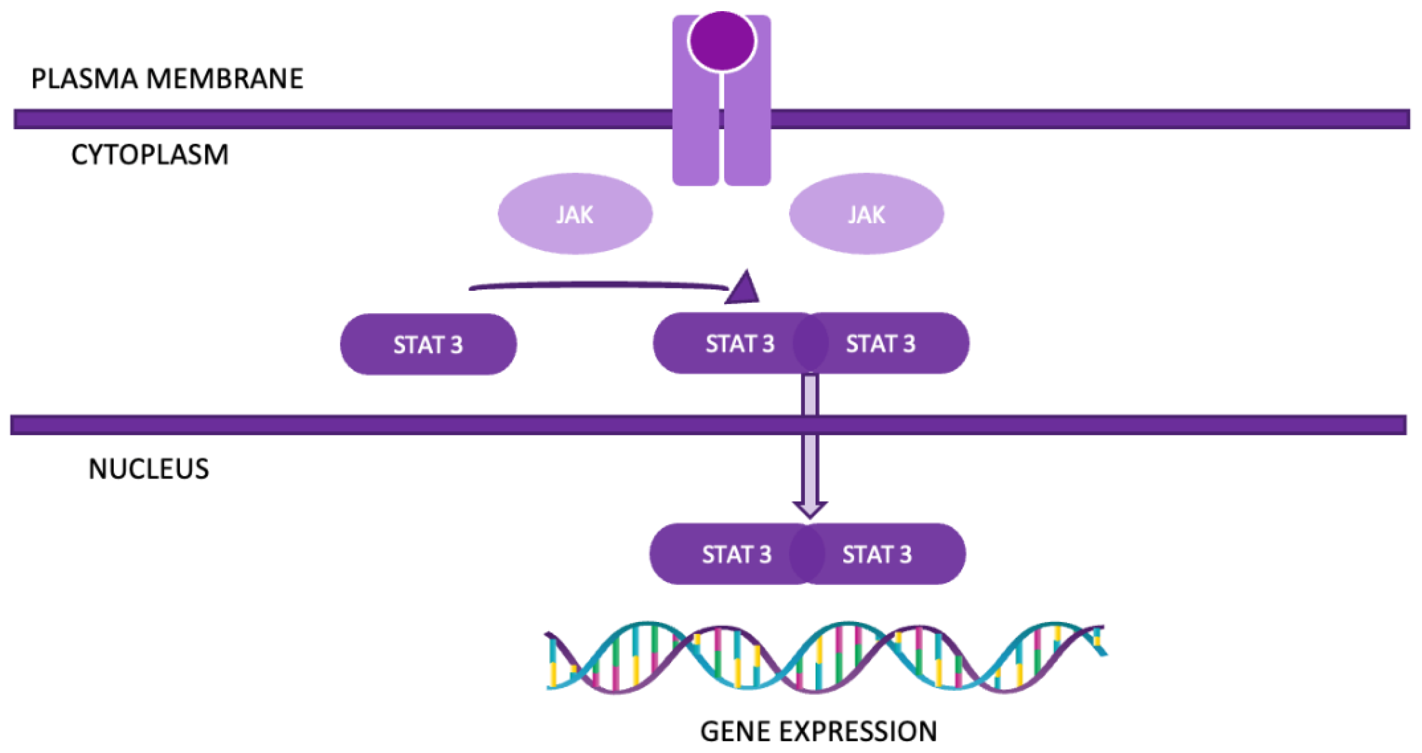 Preprints 137980 g004