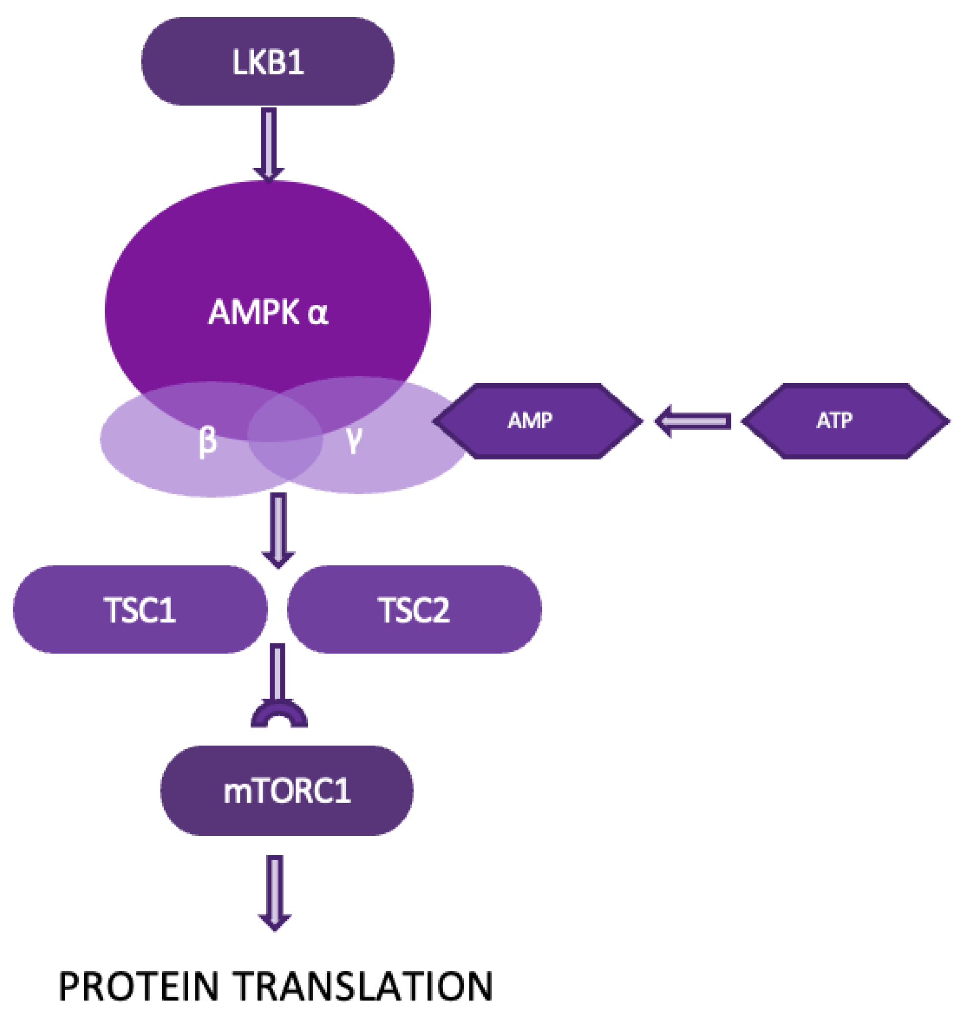 Preprints 137980 g006