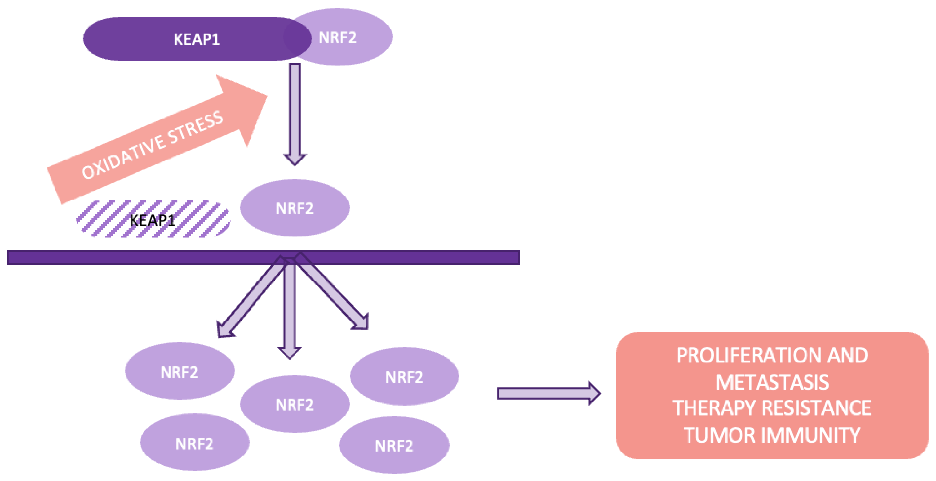 Preprints 137980 g008