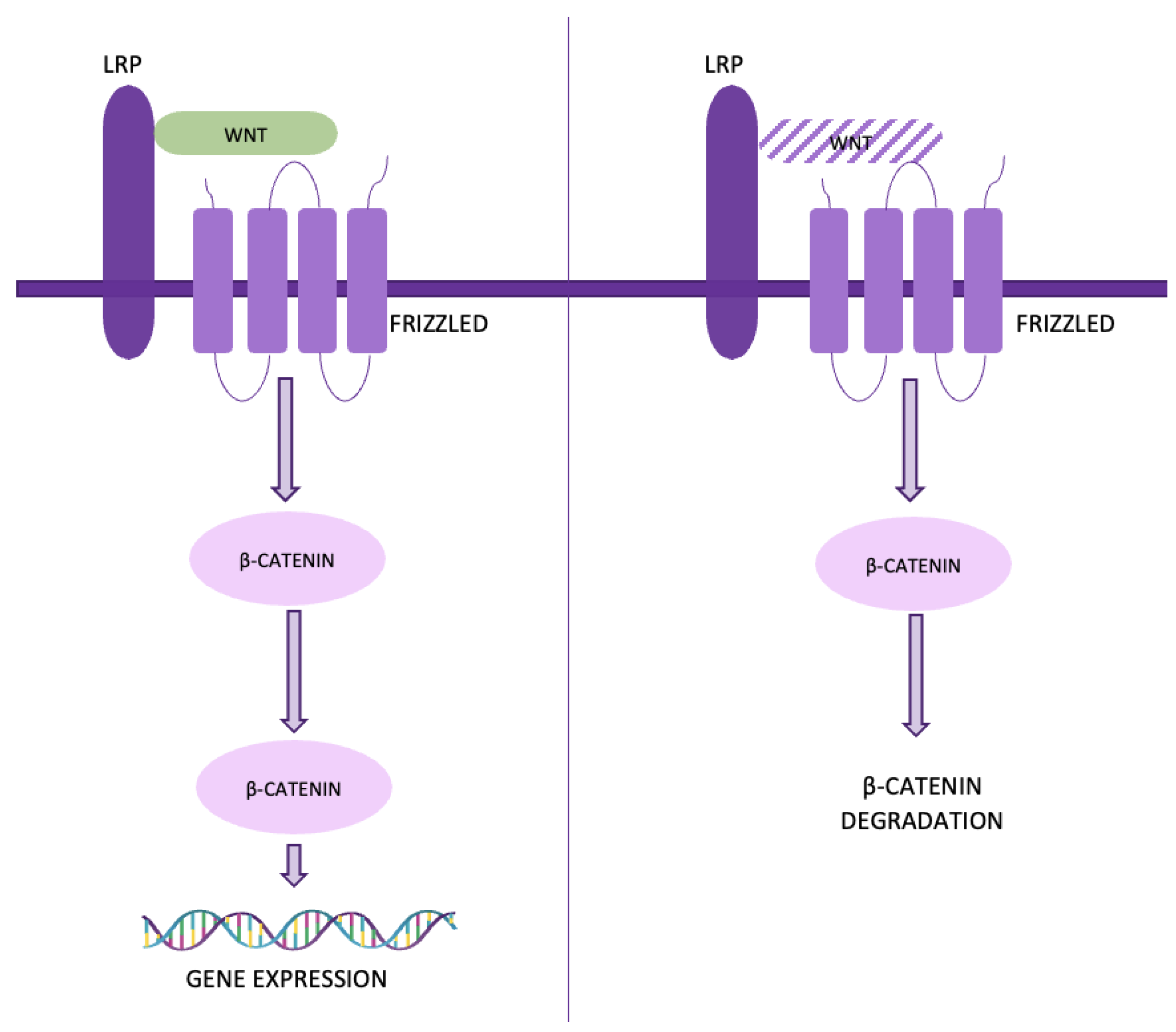 Preprints 137980 g009