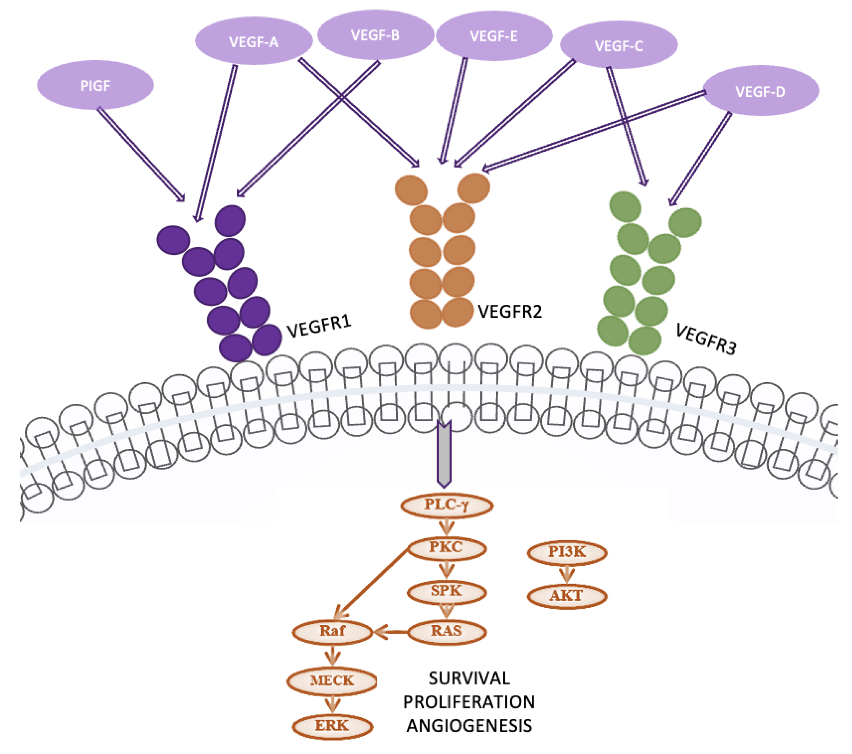 Preprints 137980 g010