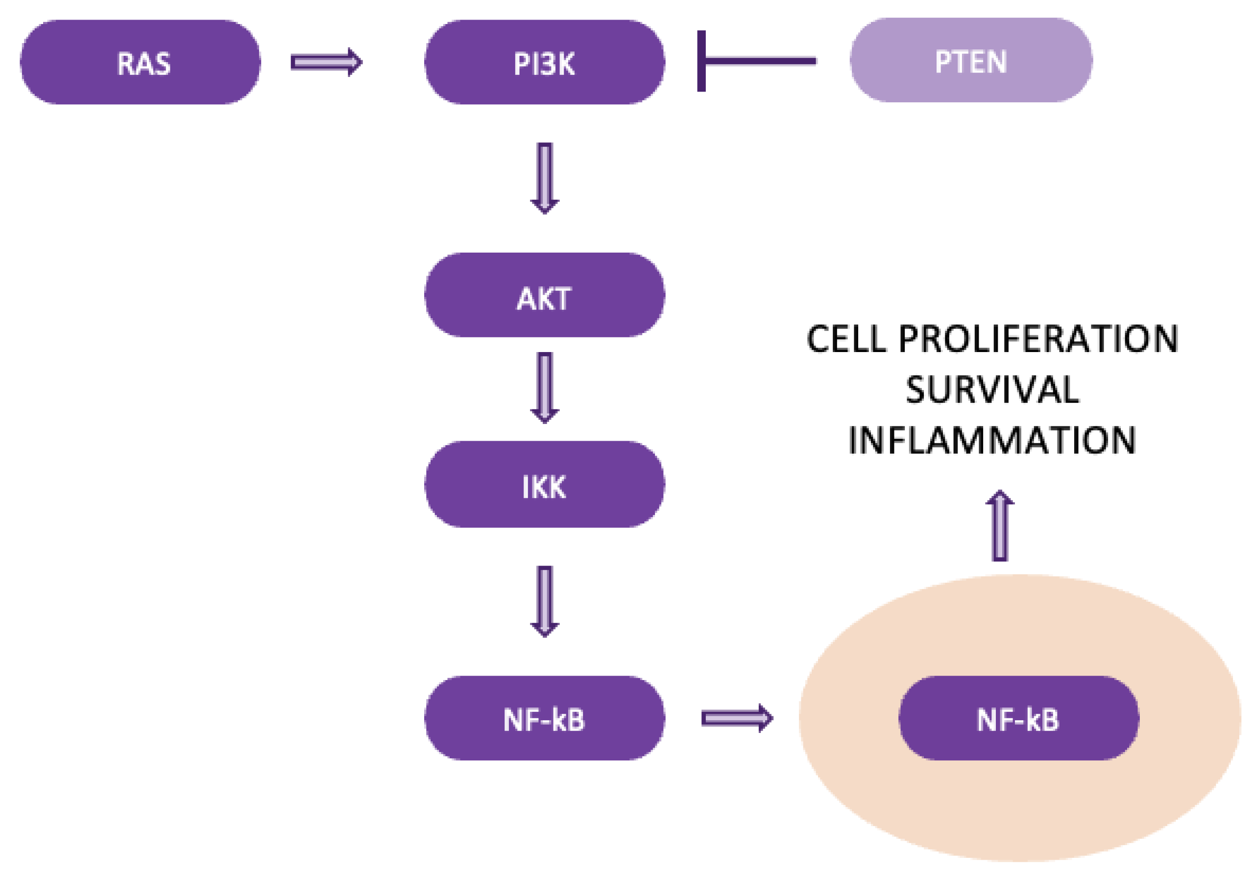 Preprints 137980 g011