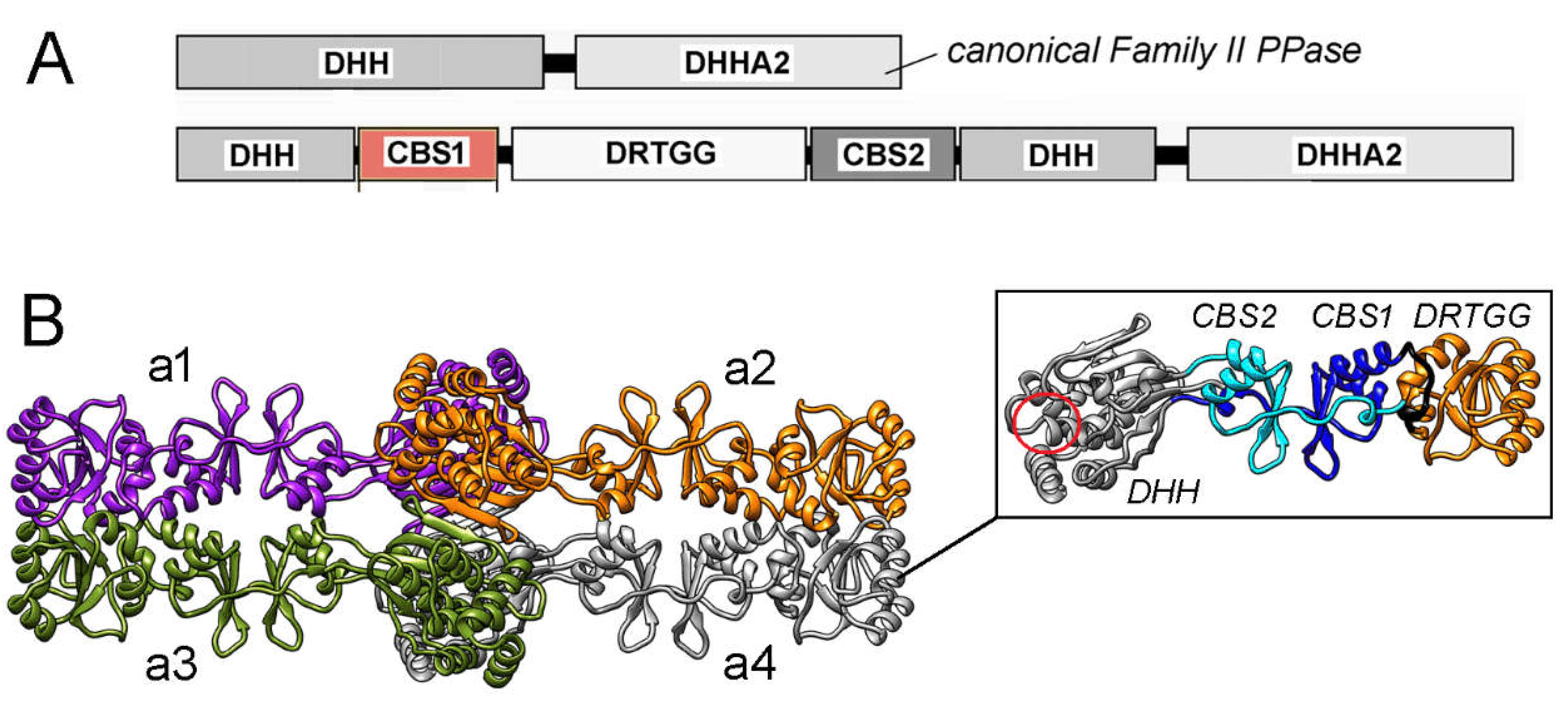 Preprints 104867 g001