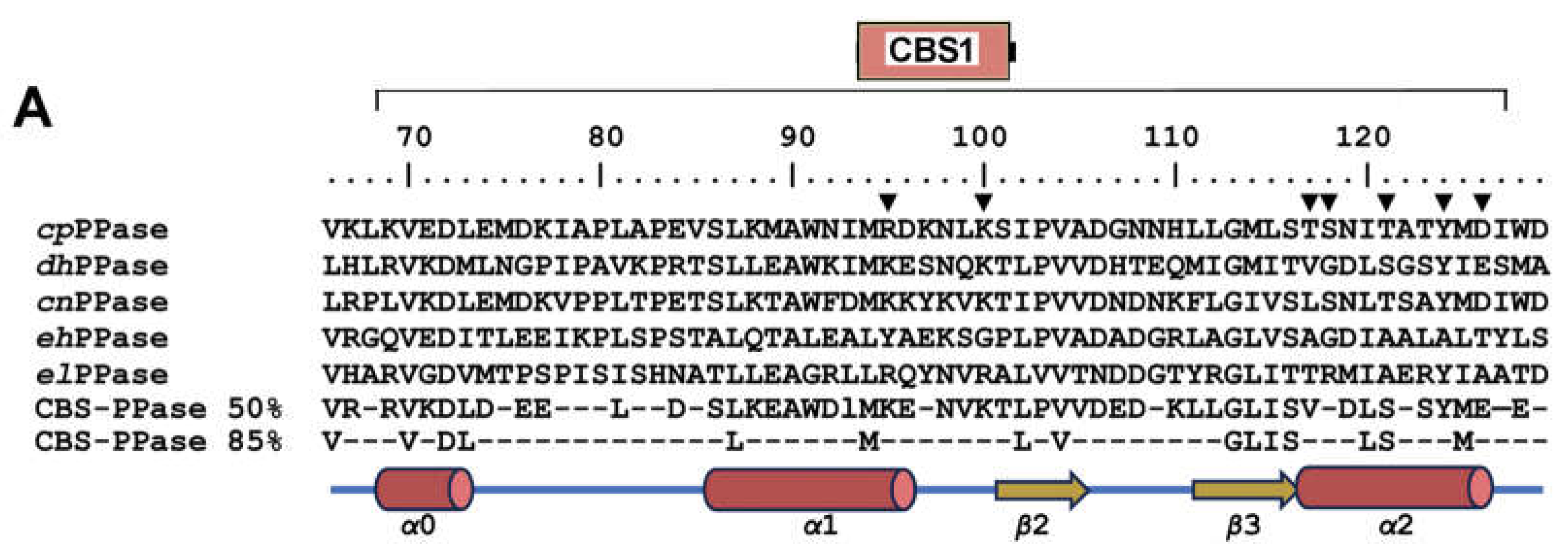 Preprints 104867 g002a