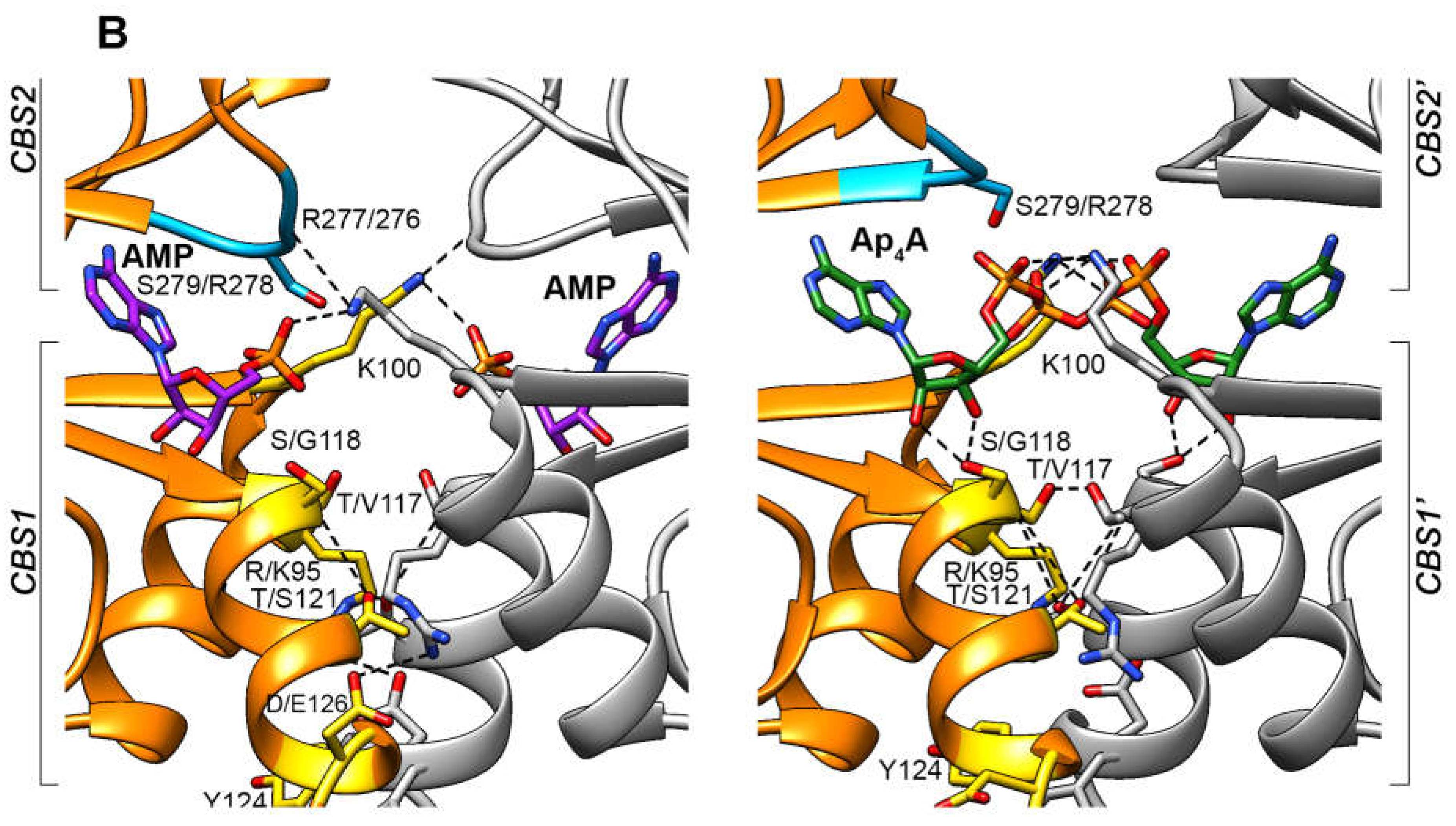 Preprints 104867 g002b