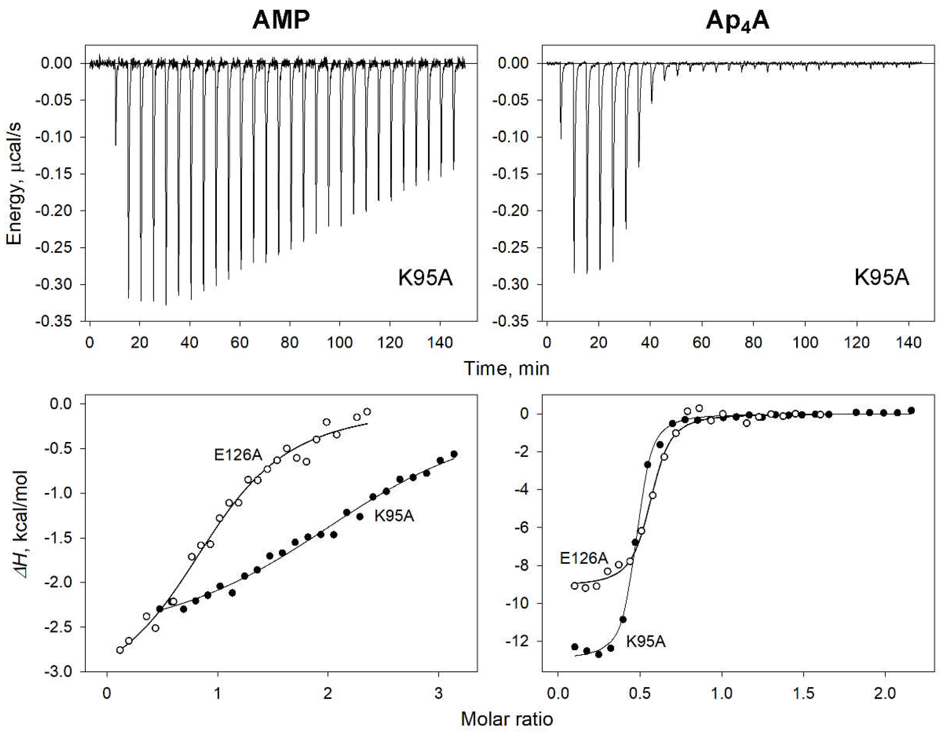 Preprints 104867 g006