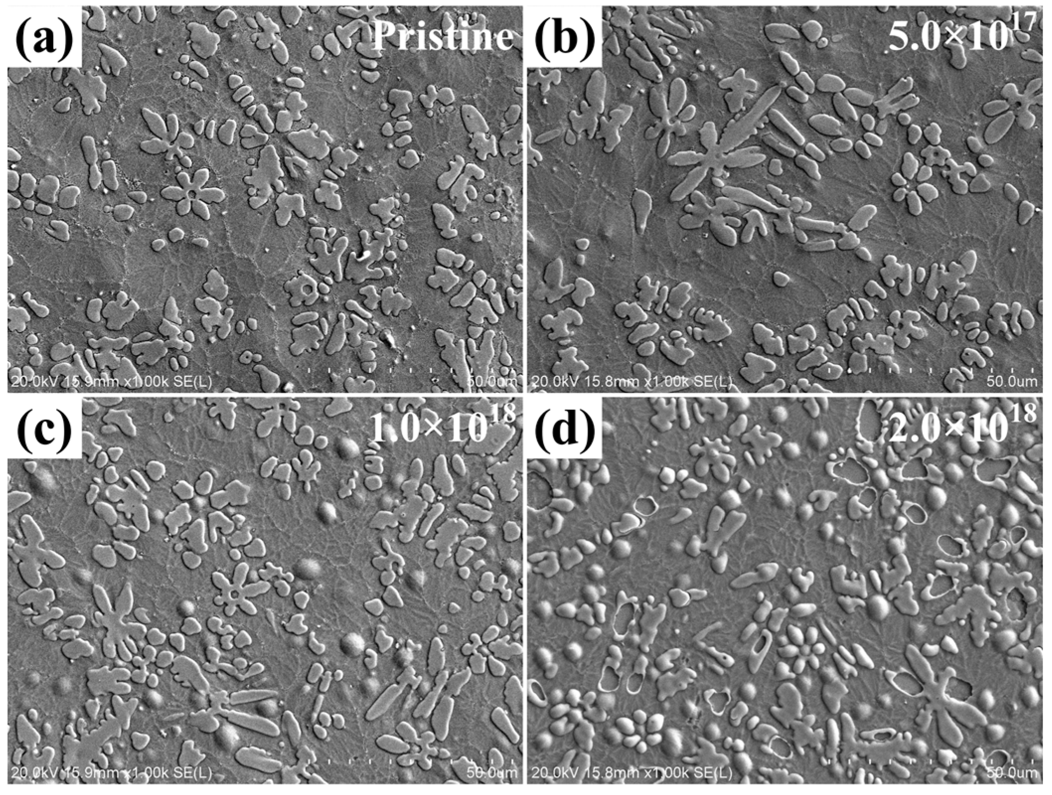 Preprints 80748 g003