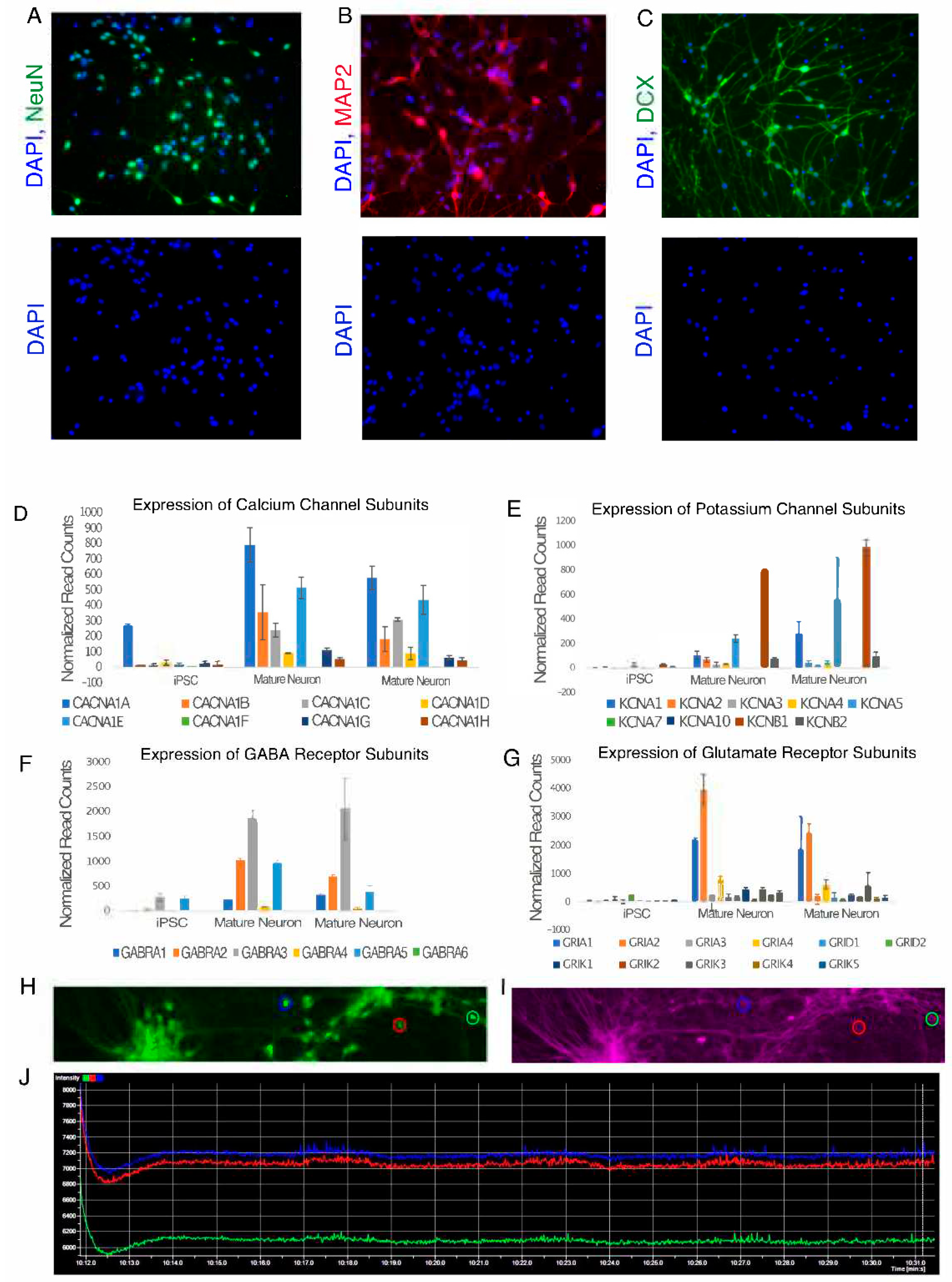 Preprints 70956 g002