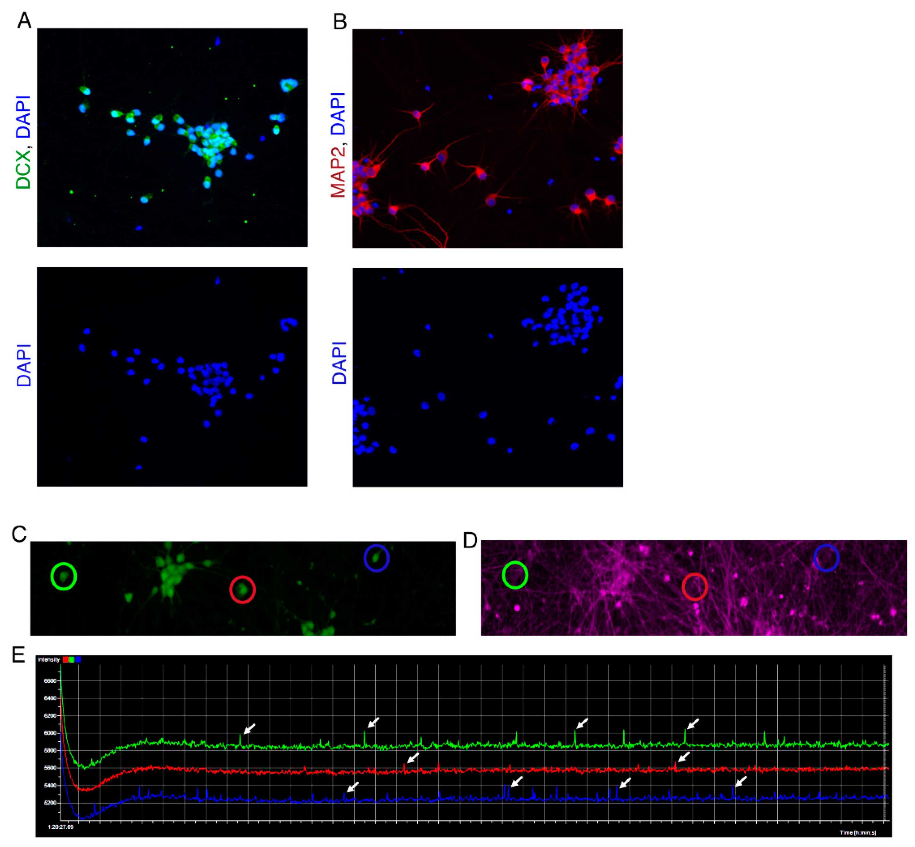 Preprints 70956 g003