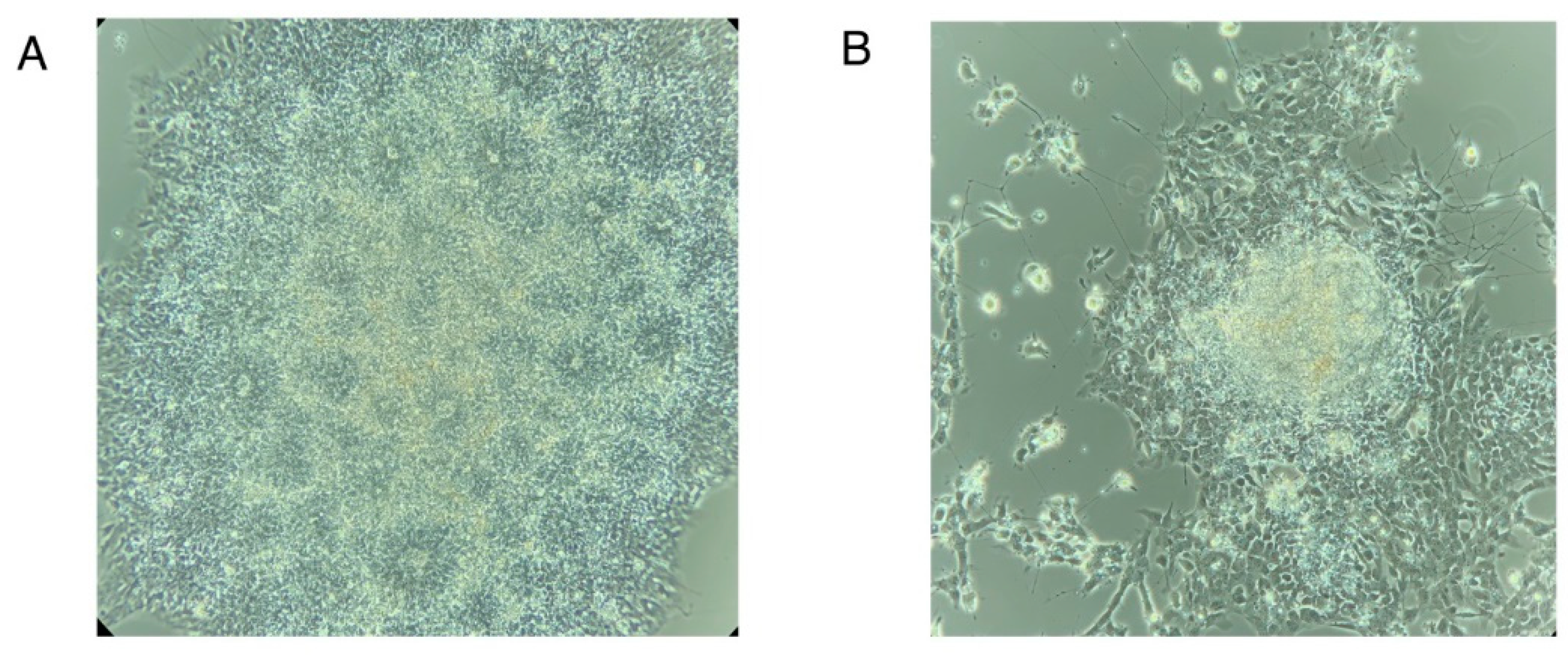 Preprints 70956 g006