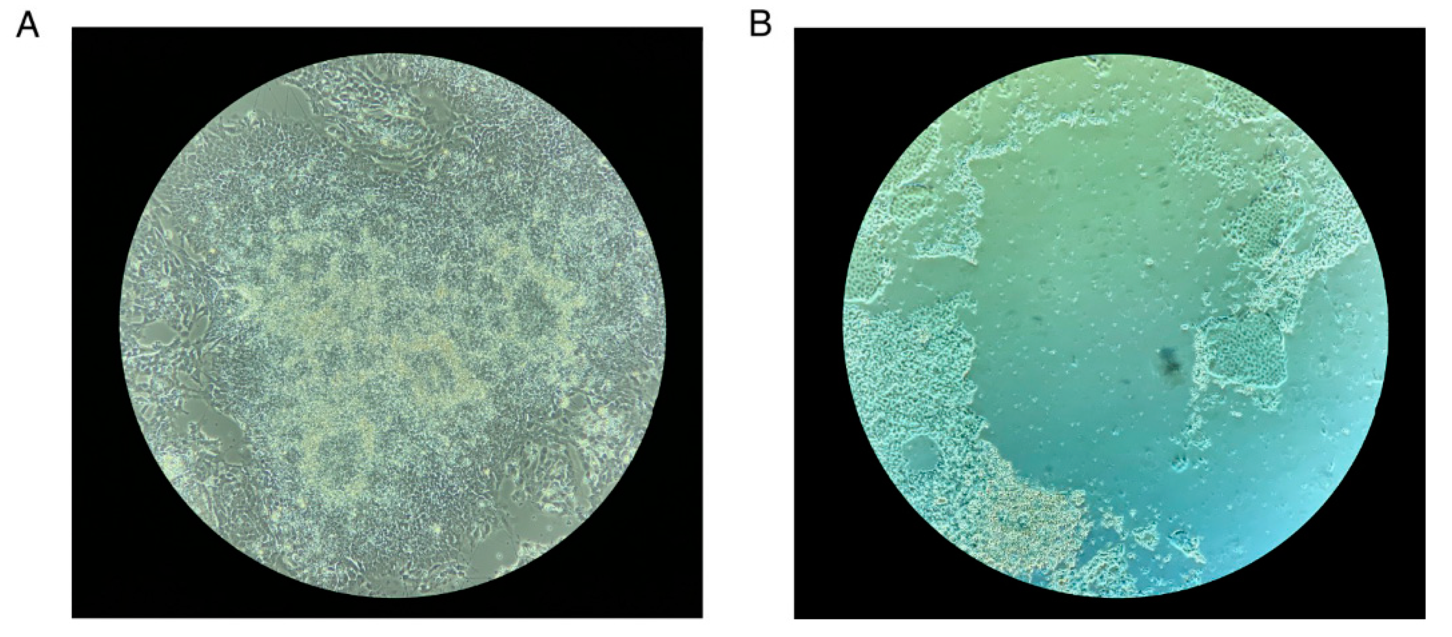 Preprints 70956 g007