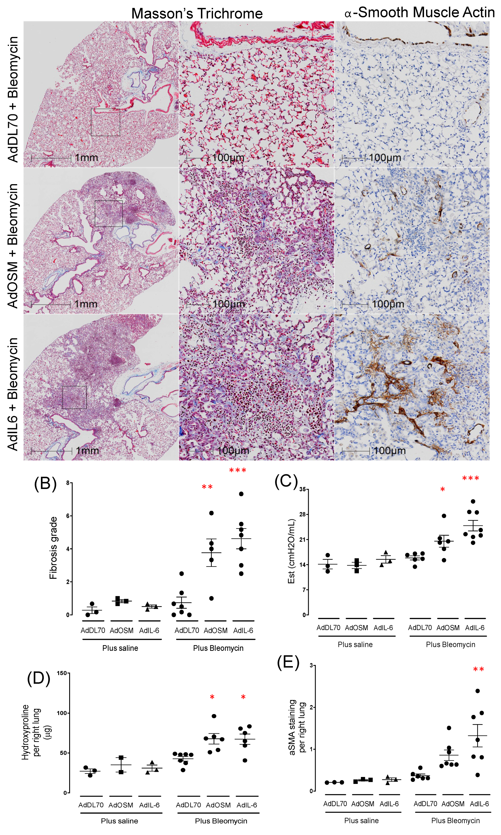 Preprints 113663 g001