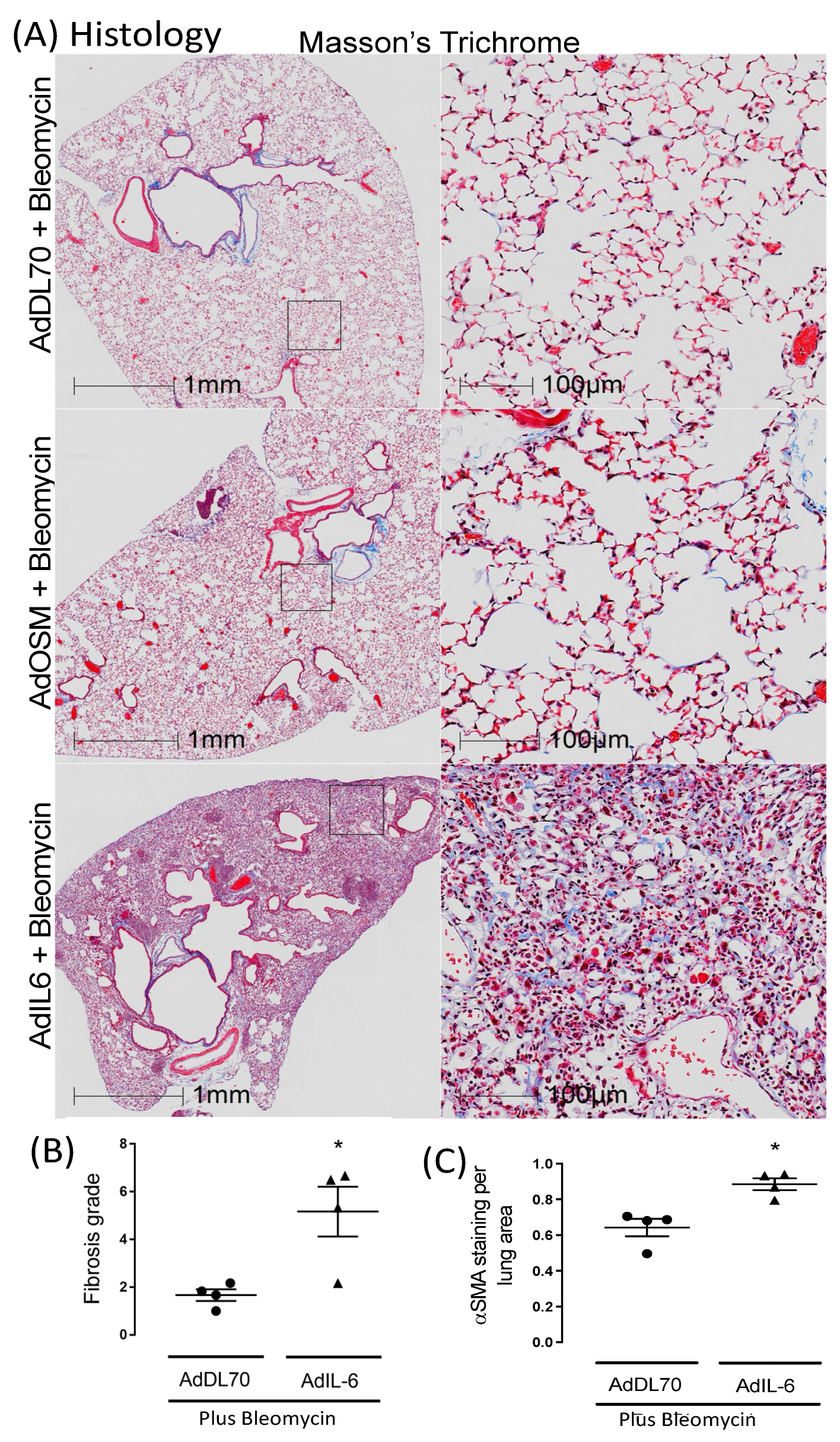 Preprints 113663 g002