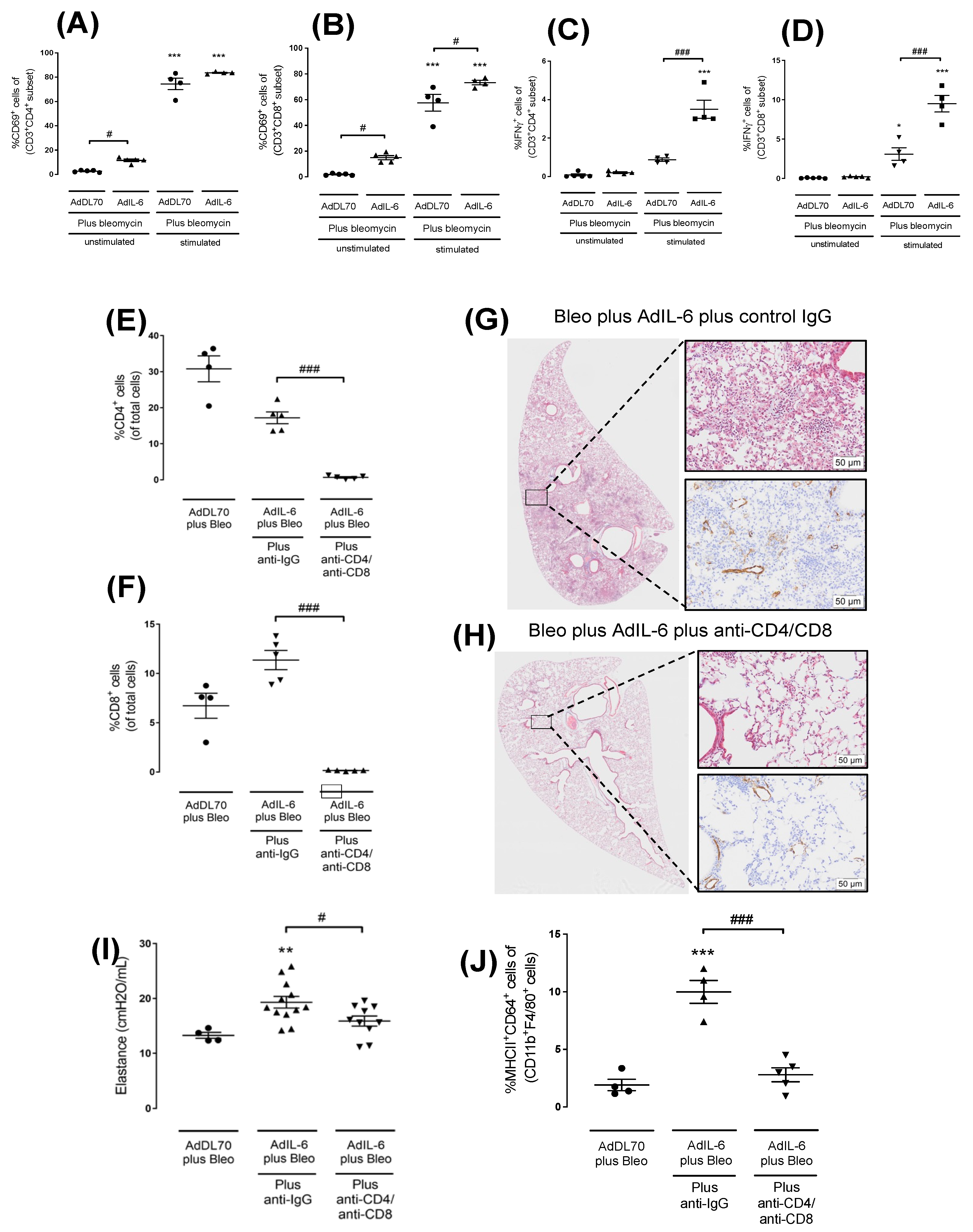 Preprints 113663 g005