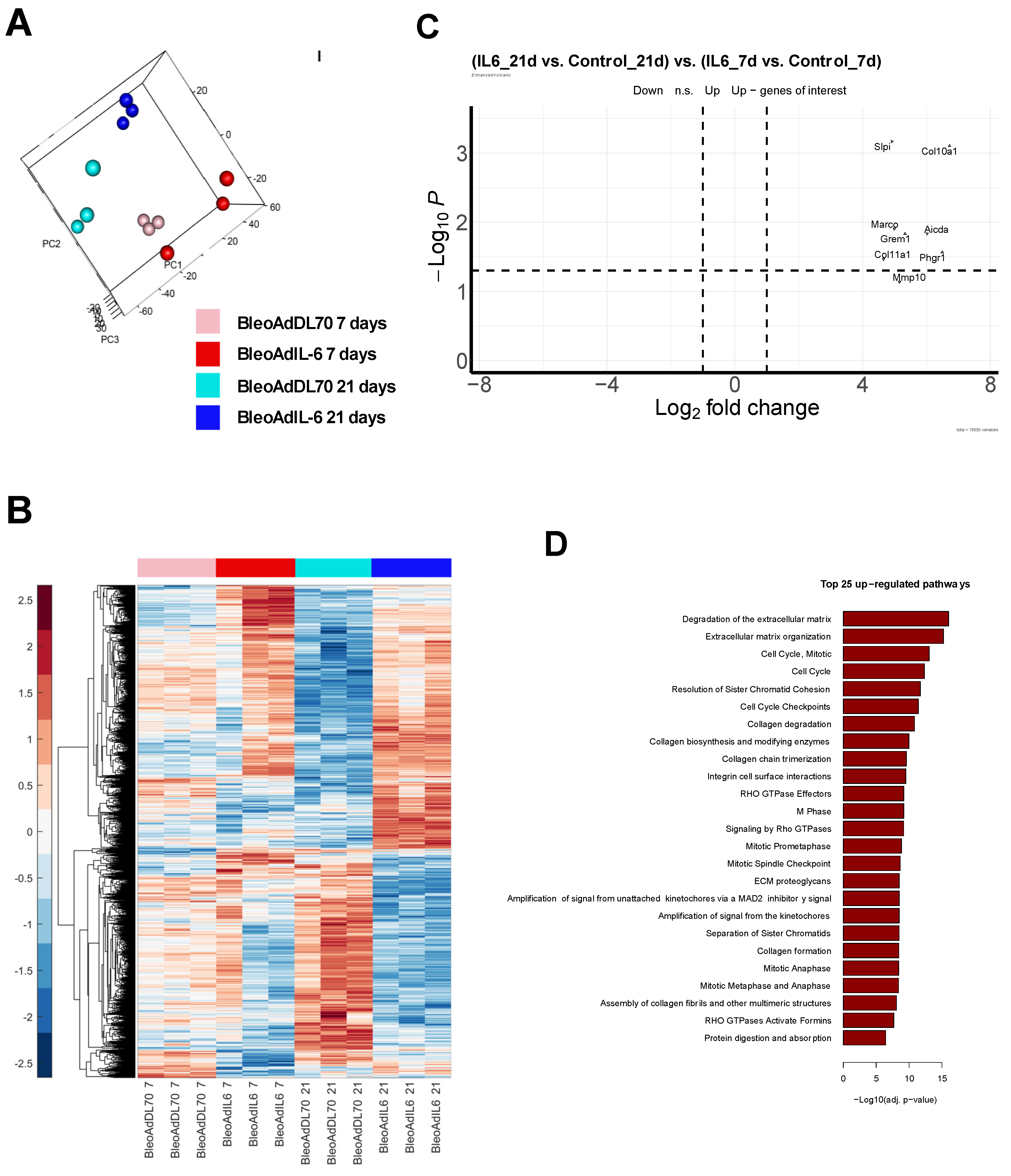 Preprints 113663 g006